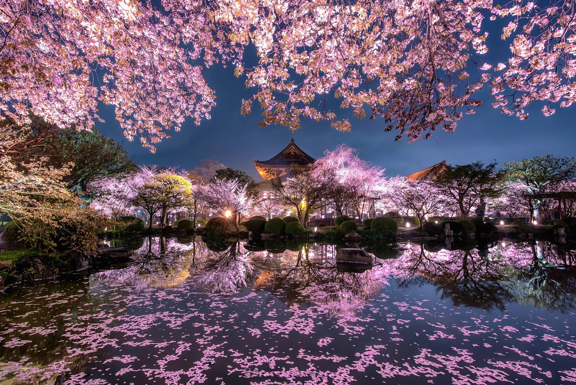 2048X1367 Cherry Blossom Wallpaper and Background