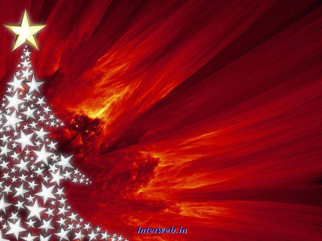 1024X768 Christmas Background Wallpaper and Background
