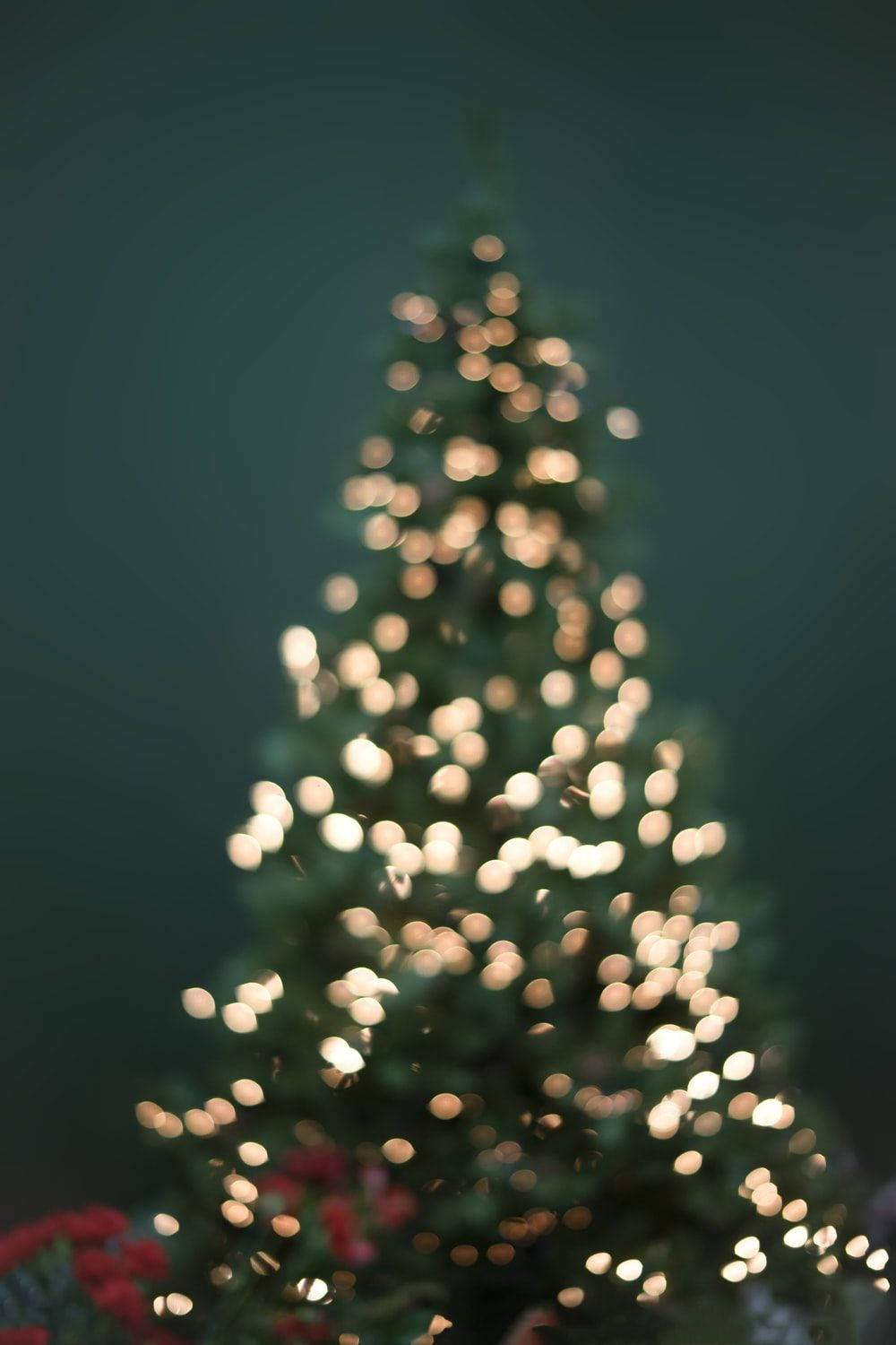 1000X1500 Christmas Tree Wallpaper and Background