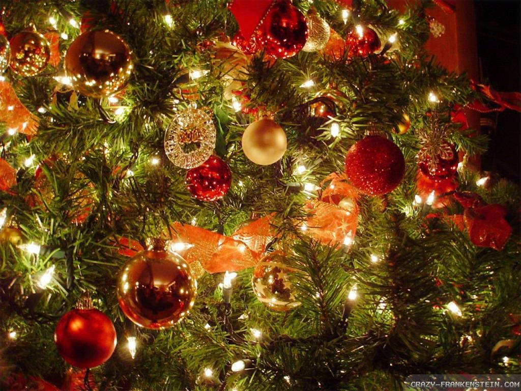 1024X768 Christmas Tree Wallpaper and Background
