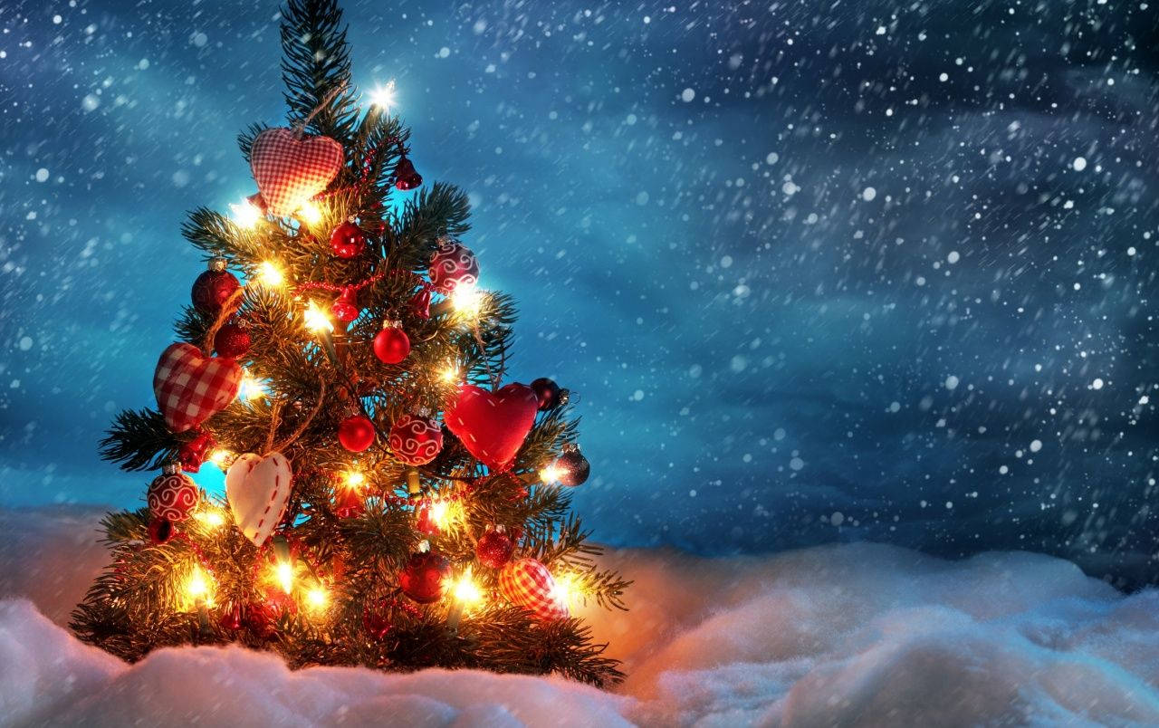 1280X804 Christmas Tree Wallpaper and Background