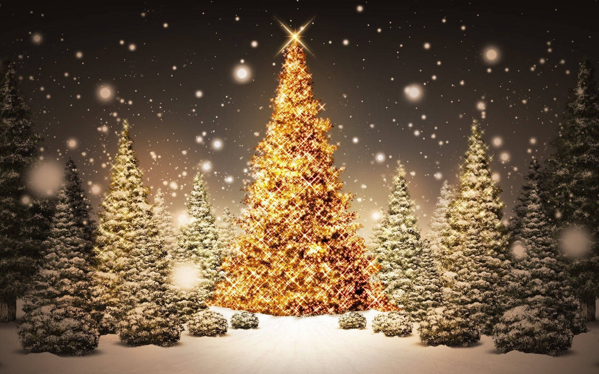 1920X1200 Christmas Tree Wallpaper and Background