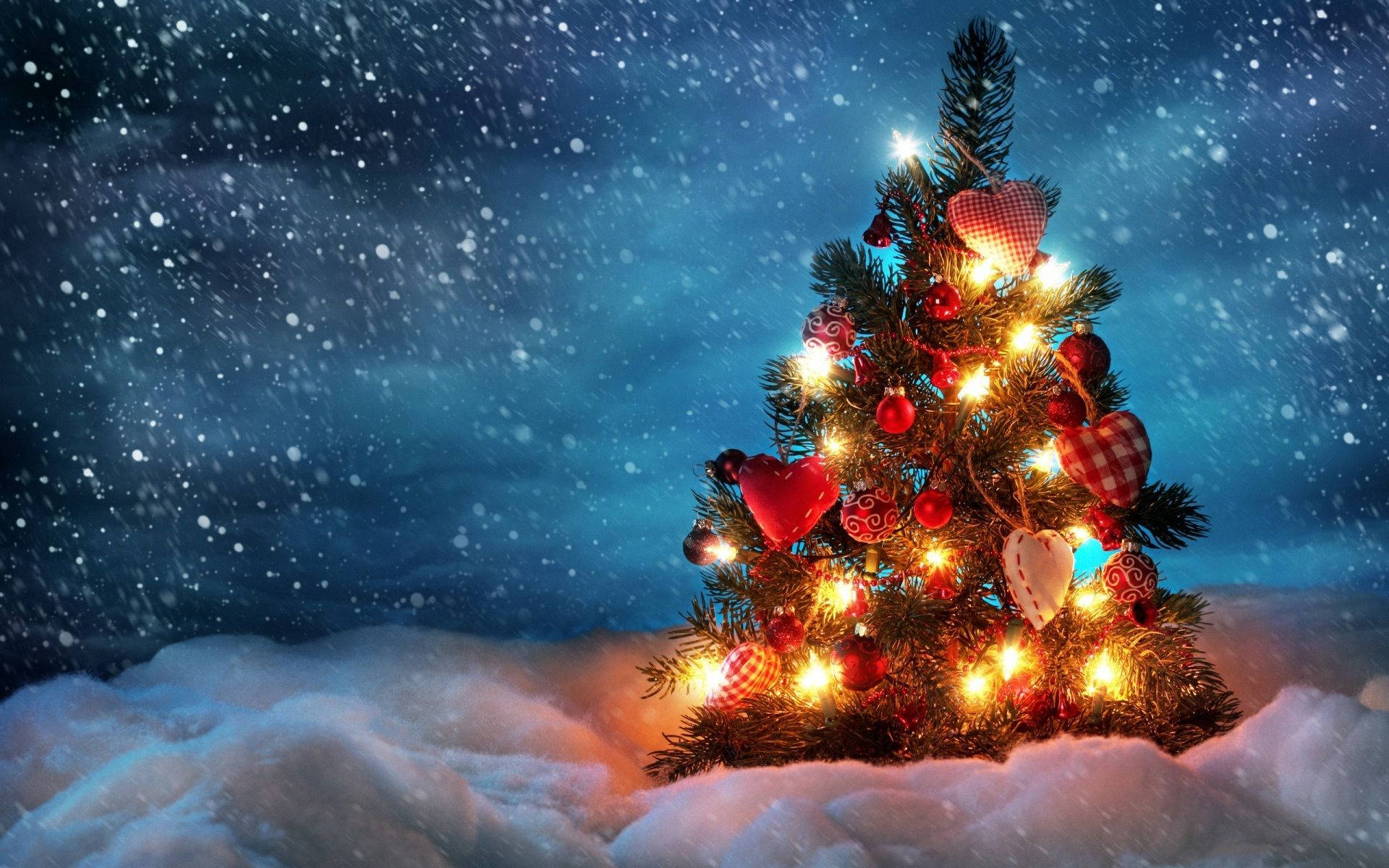 1920X1200 Christmas Tree Wallpaper and Background