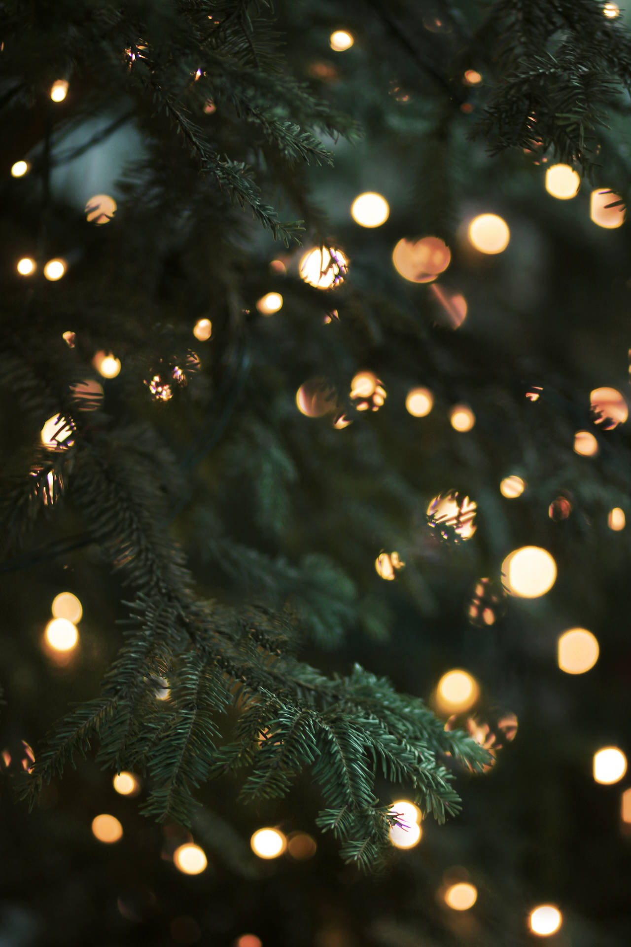 3178X4768 Christmas Tree Wallpaper and Background