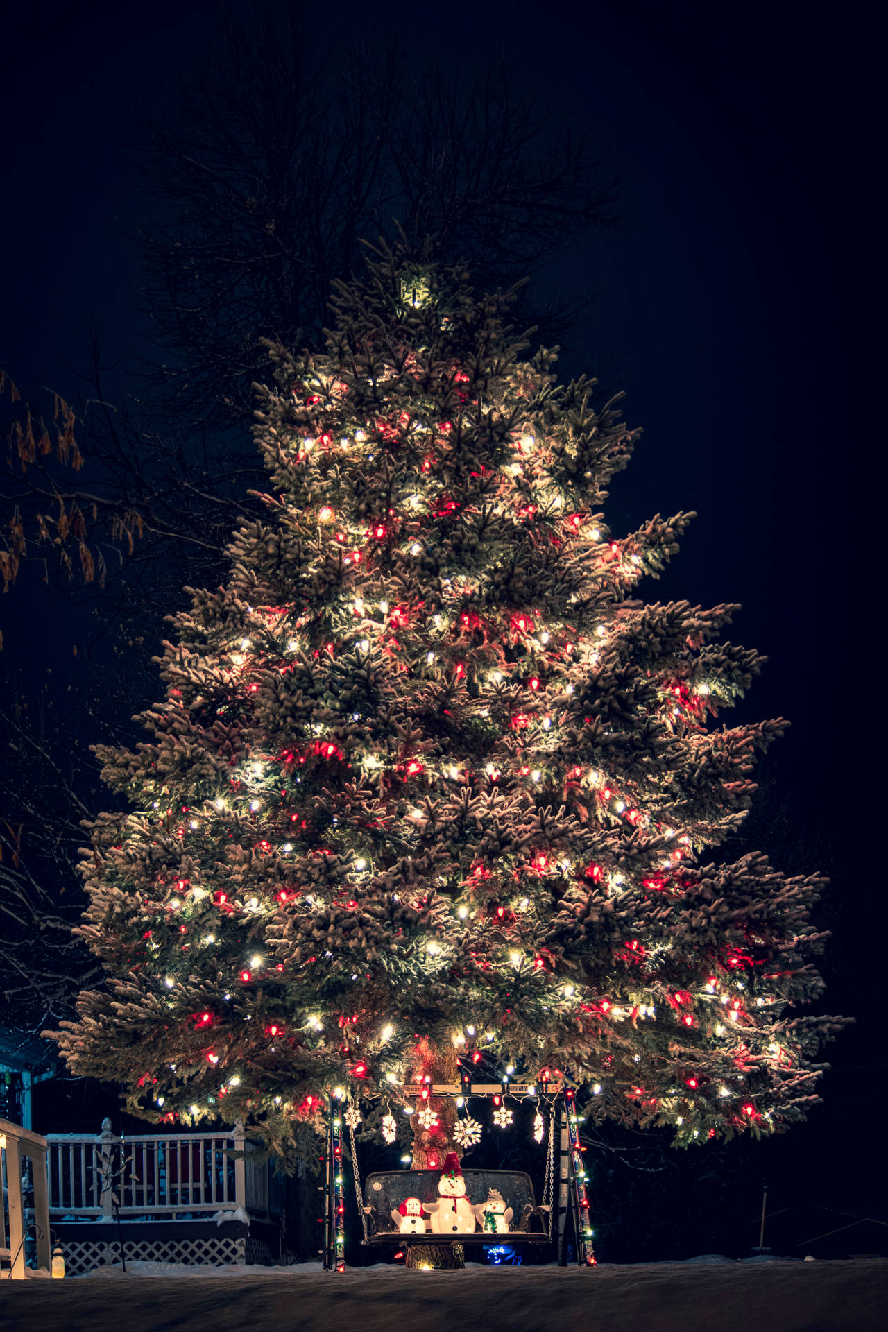 4000X6000 Christmas Tree Wallpaper and Background