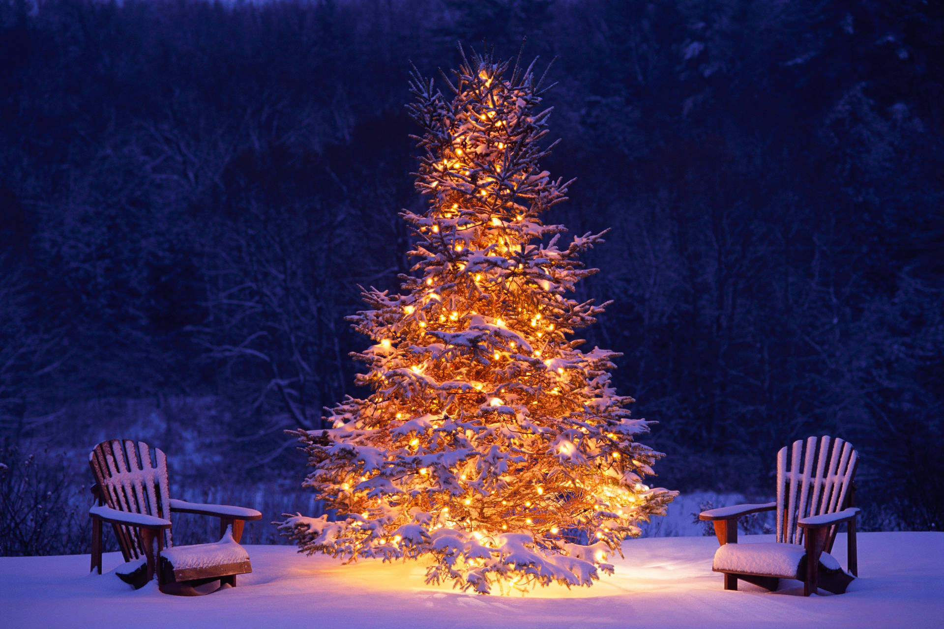 4500X3000 Christmas Tree Wallpaper and Background