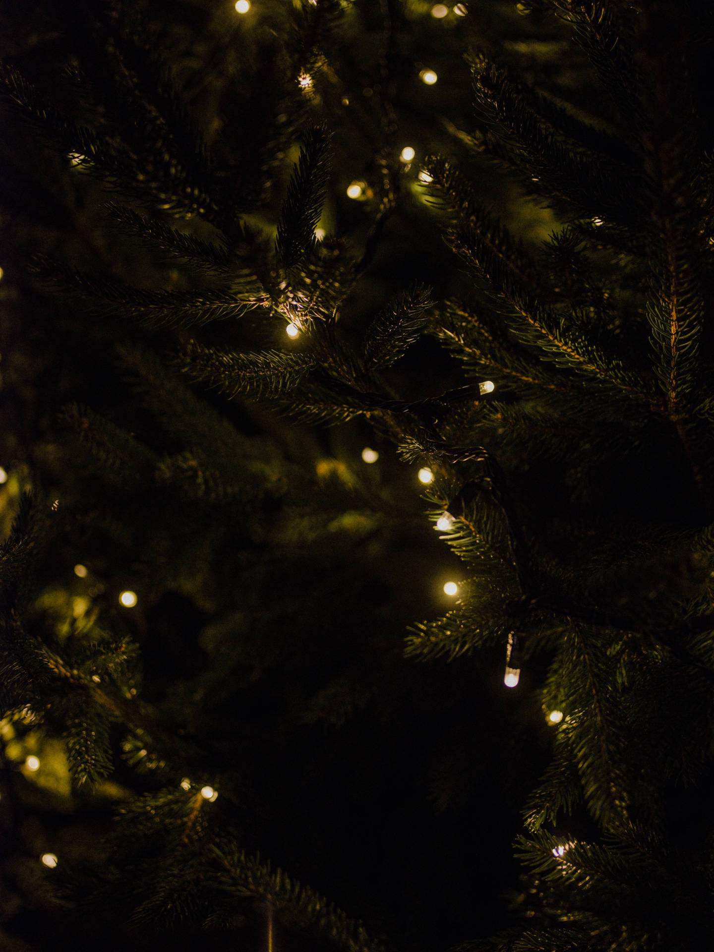 4500X6000 Christmas Tree Wallpaper and Background