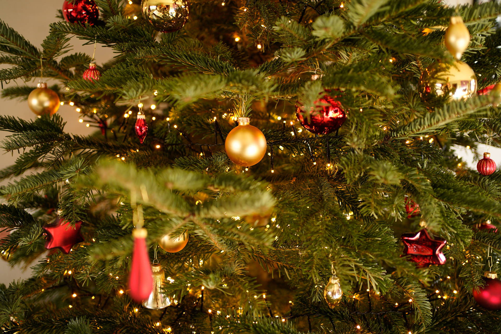 6000X4000 Christmas Tree Wallpaper and Background