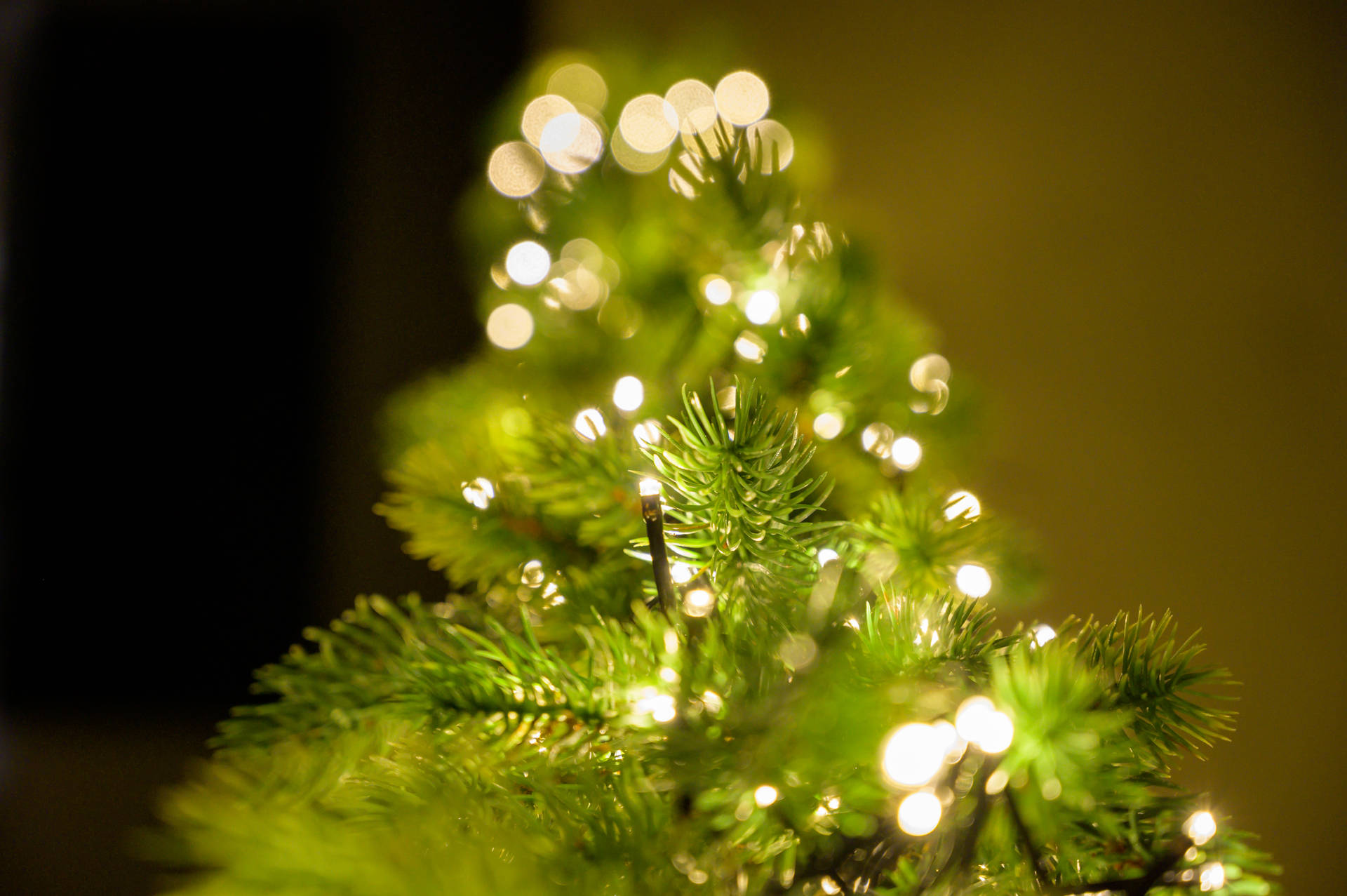 6048X4024 Christmas Tree Wallpaper and Background