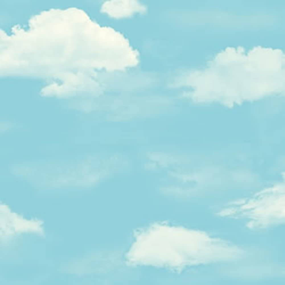 1001X1001 Clouds Wallpaper and Background