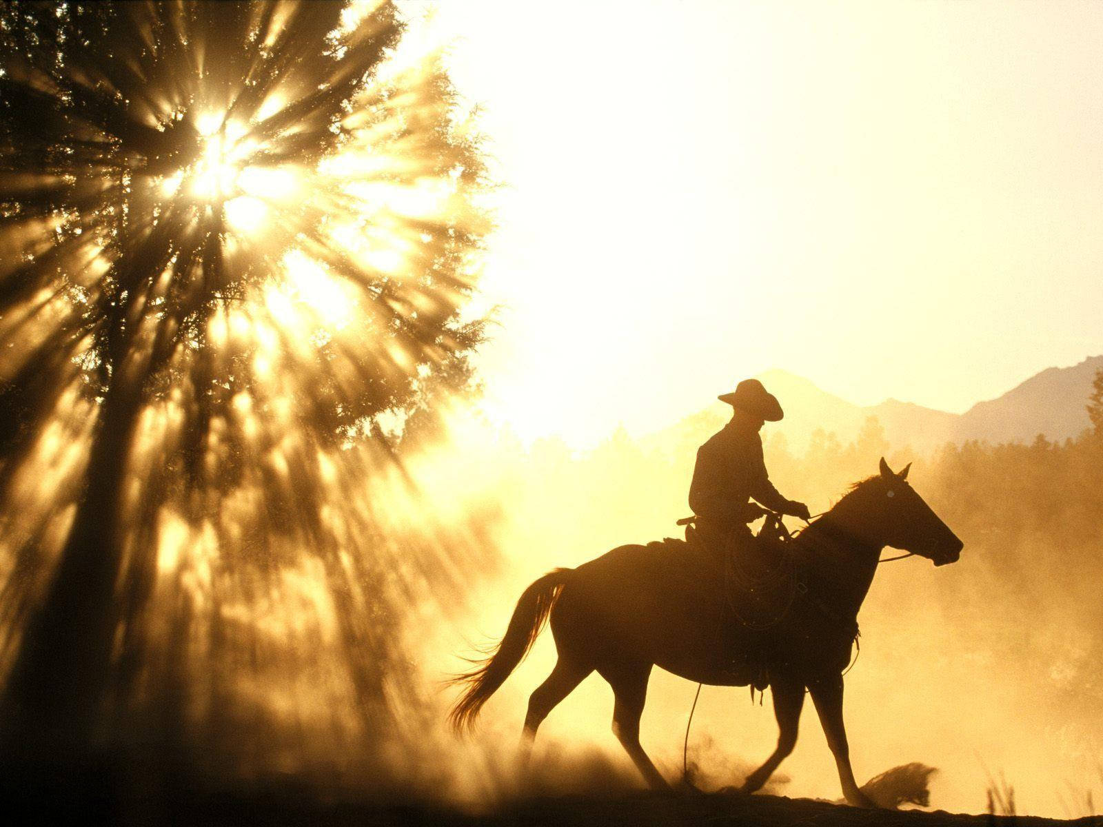 1600X1200 Cowboy Wallpaper and Background