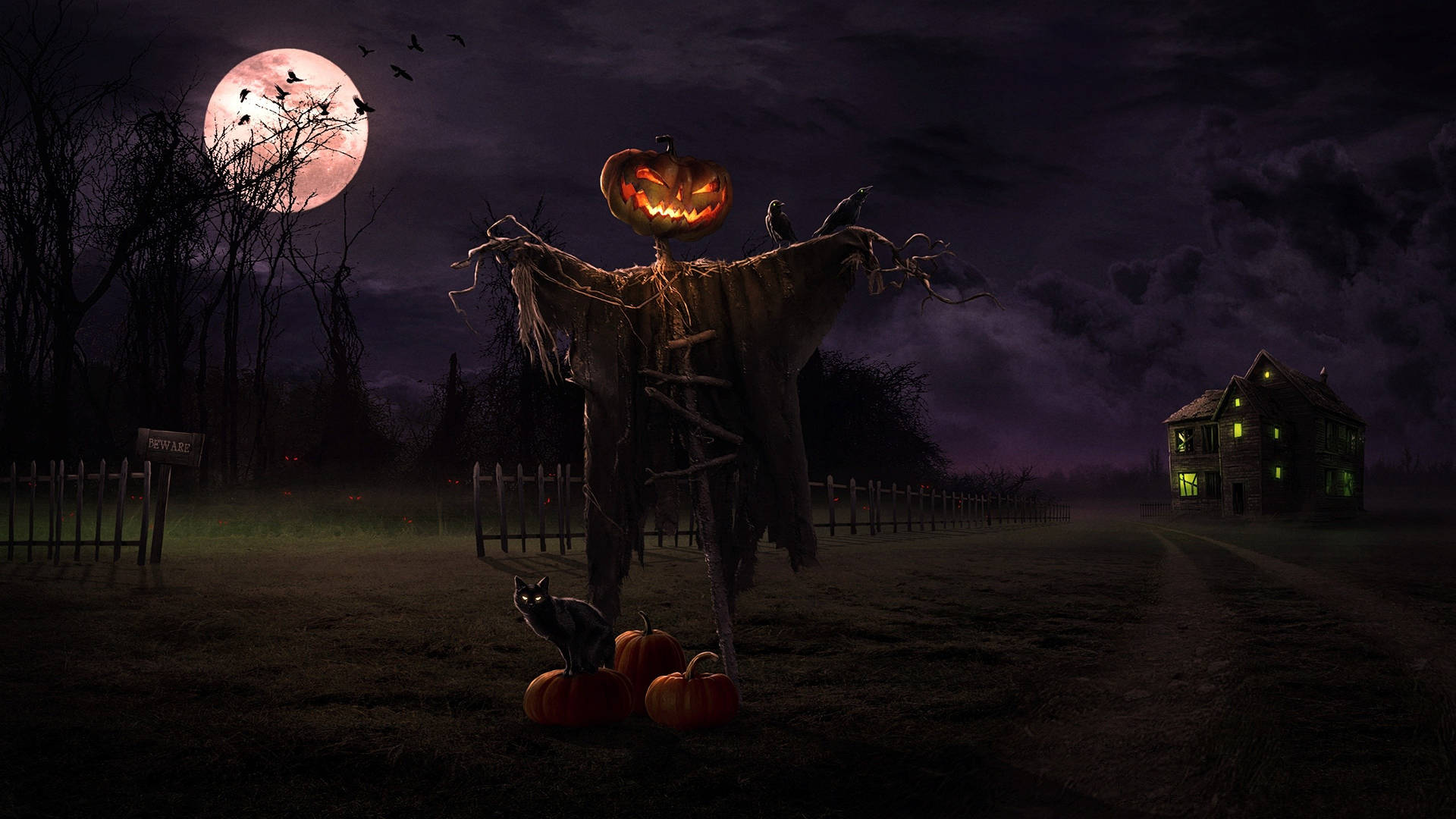 2560X1440 Cute Halloween Wallpaper and Background