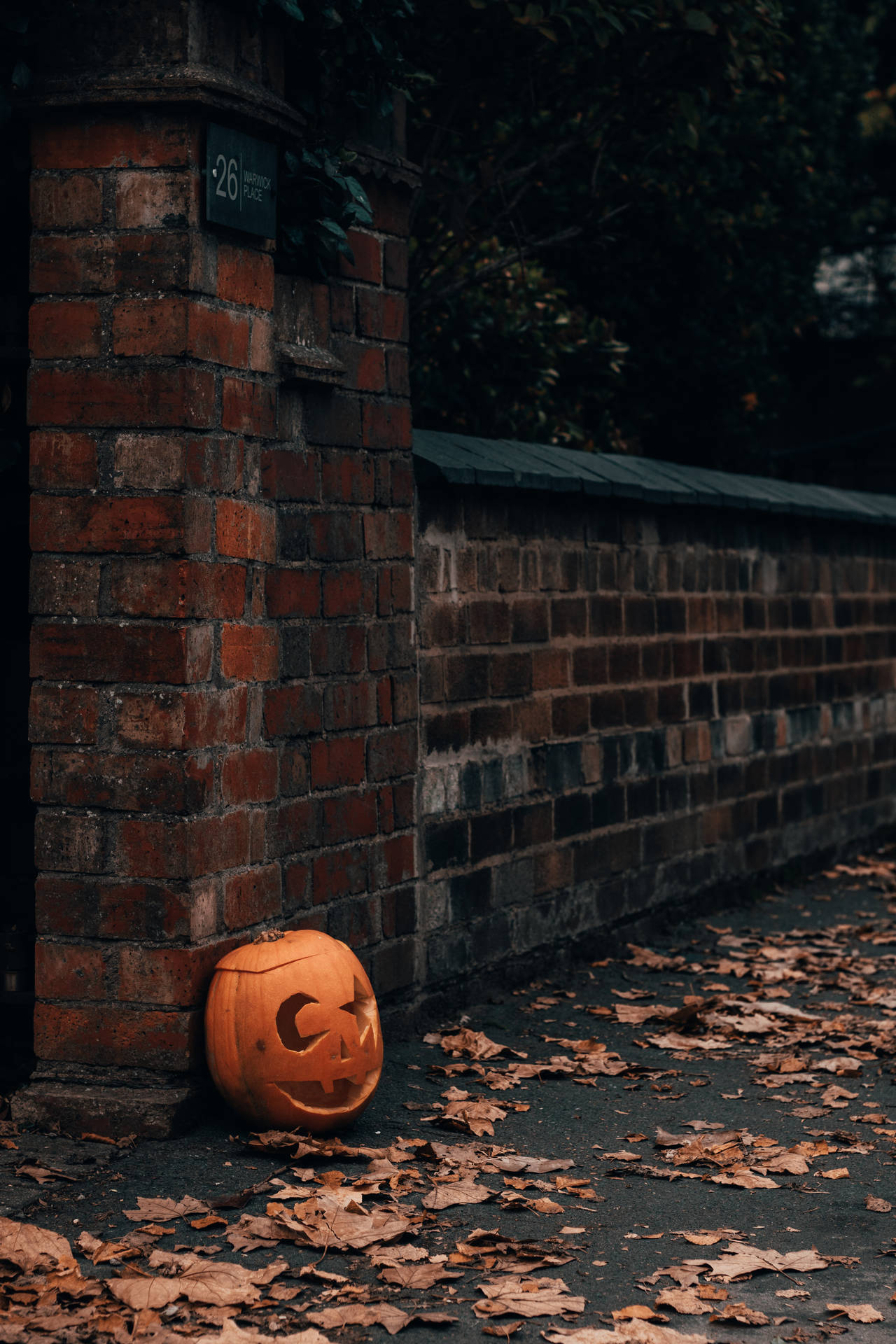3817X5726 Cute Halloween Wallpaper and Background