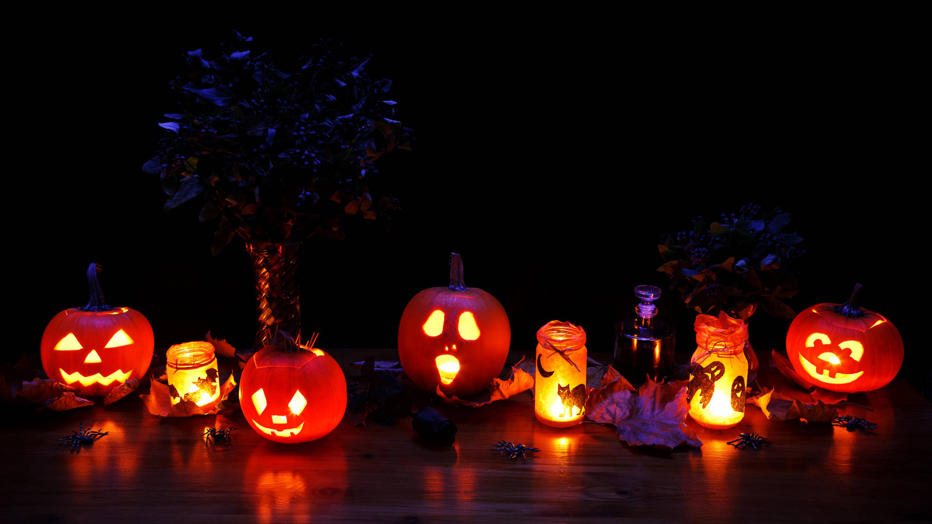 5577X3137 Cute Halloween Wallpaper and Background