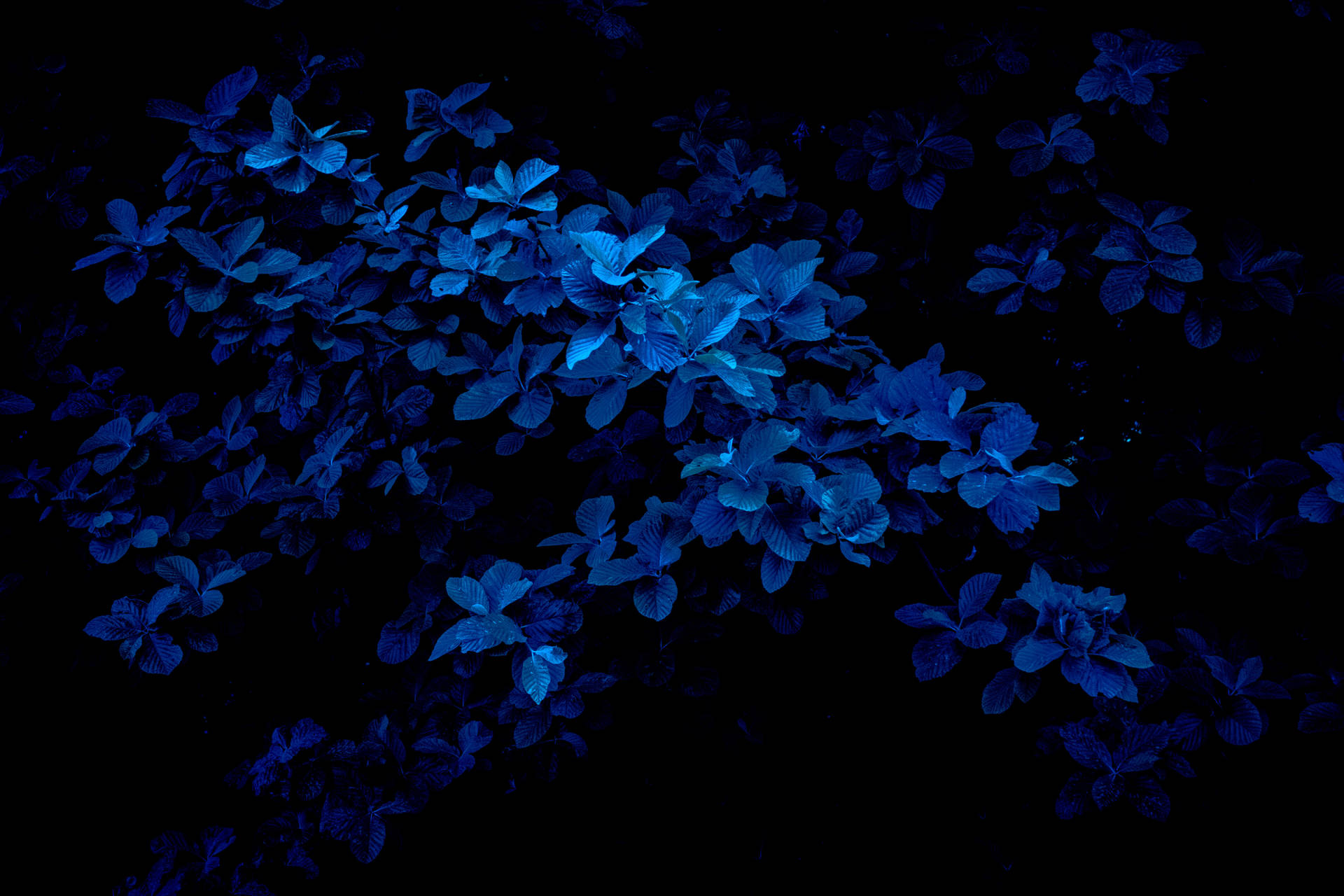 5472X3648 Dark Blue Wallpaper and Background