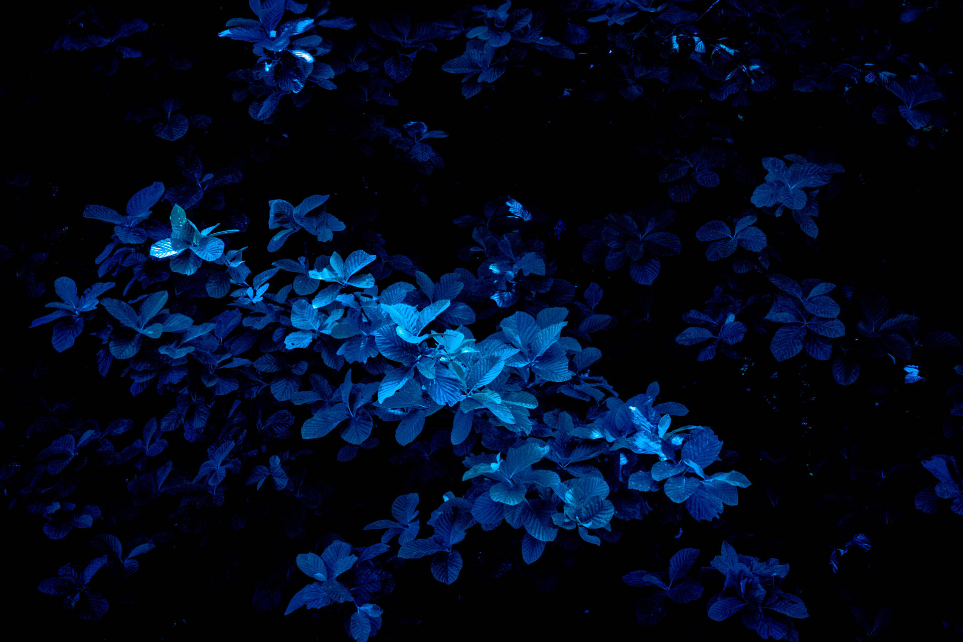 5472X3648 Dark Blue Wallpaper and Background