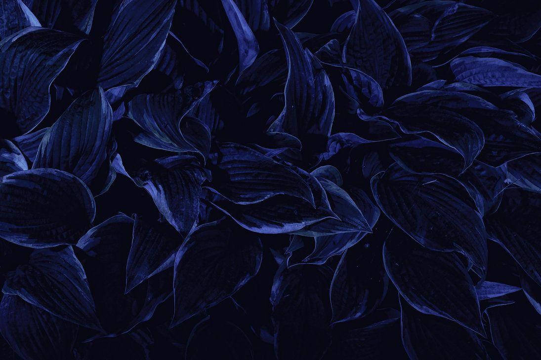 1095X730 Dark Blue Aesthetic Wallpaper and Background