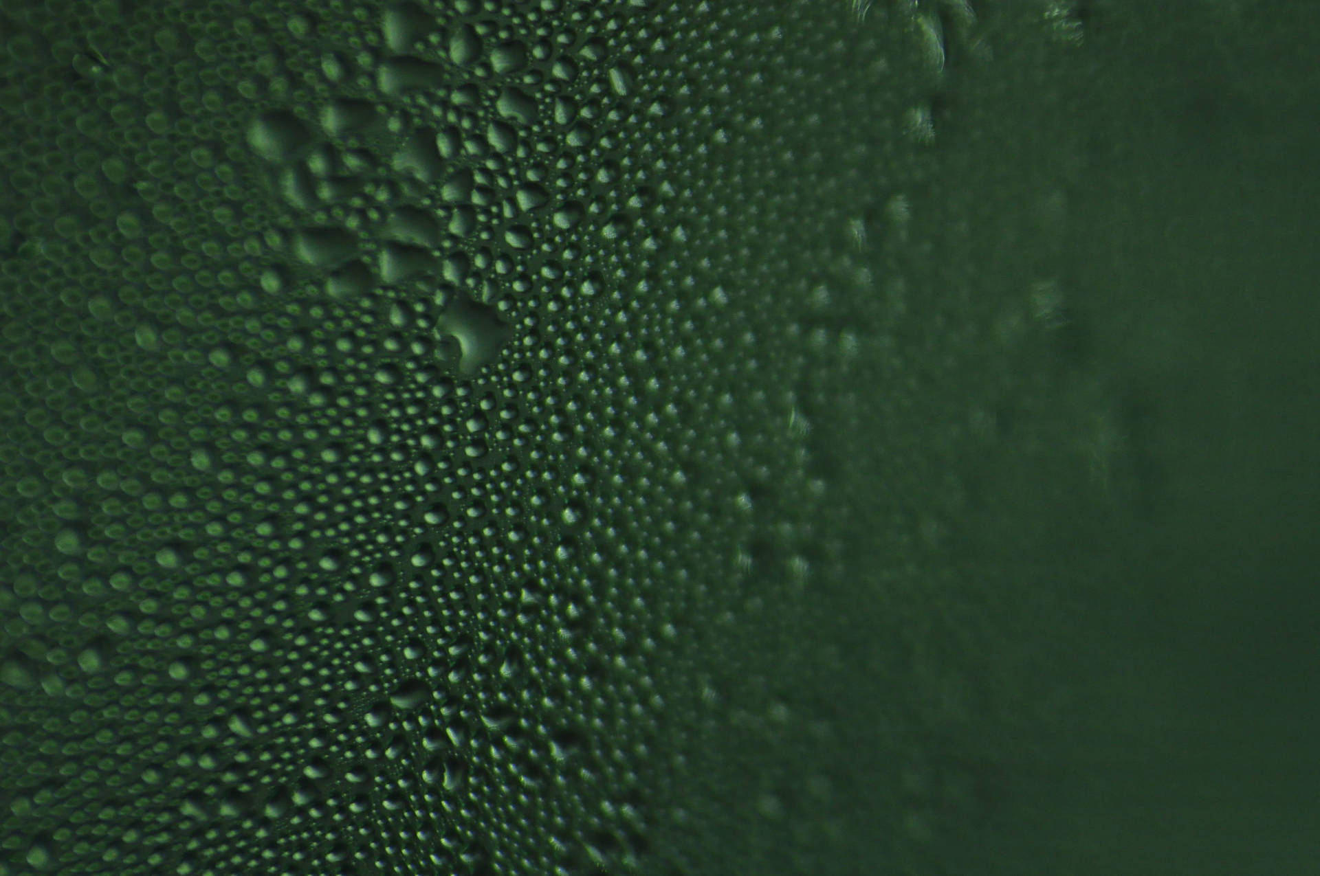 4288X2848 Dark Green Wallpaper and Background