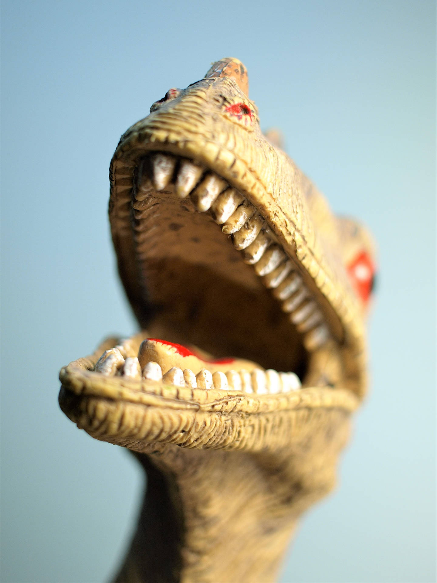 2416X3222 Dinosaur Wallpaper and Background