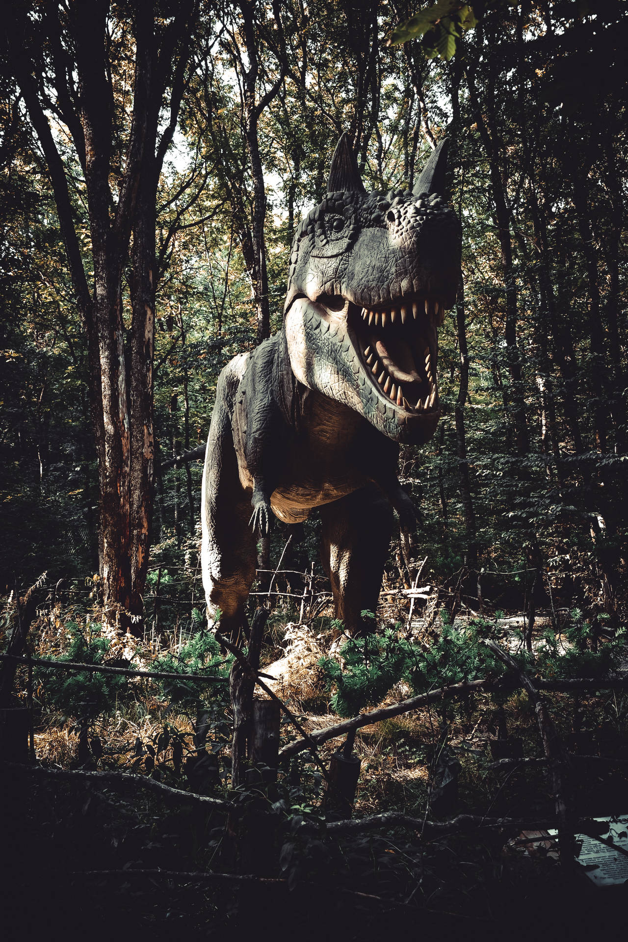 4000X6000 Dinosaur Wallpaper and Background