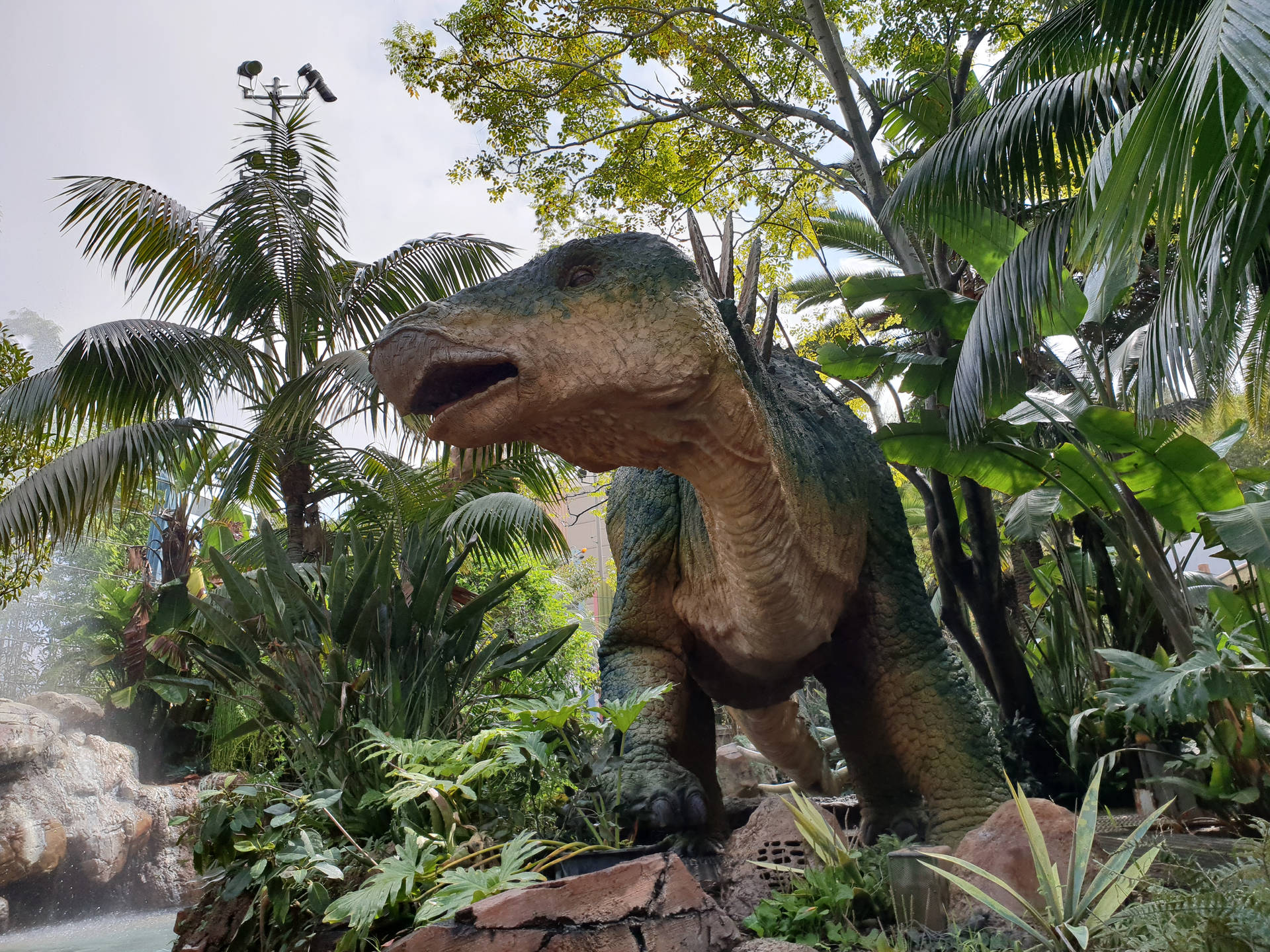 4032X3024 Dinosaur Wallpaper and Background