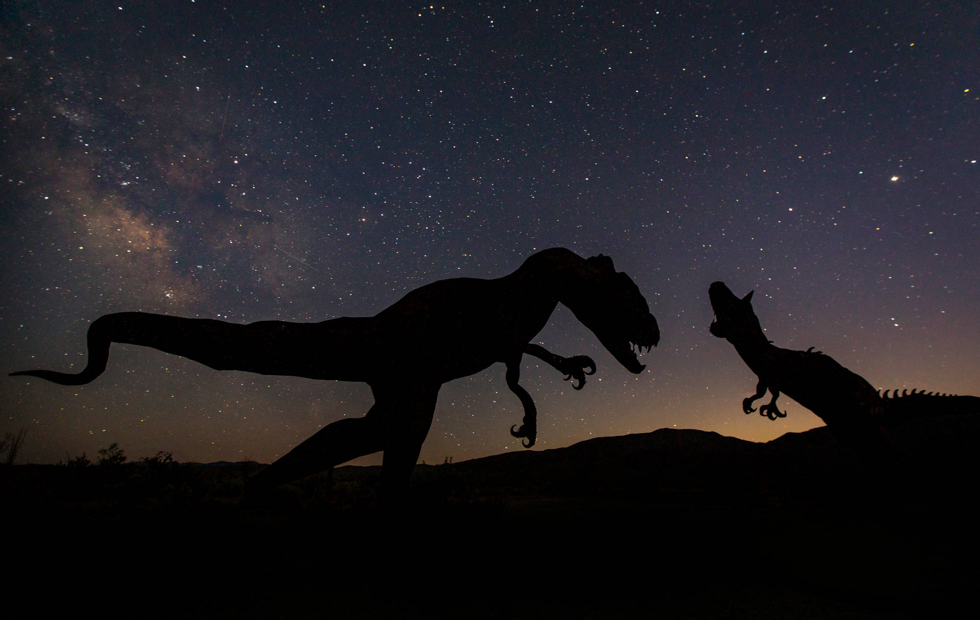 5964X3775 Dinosaur Wallpaper and Background