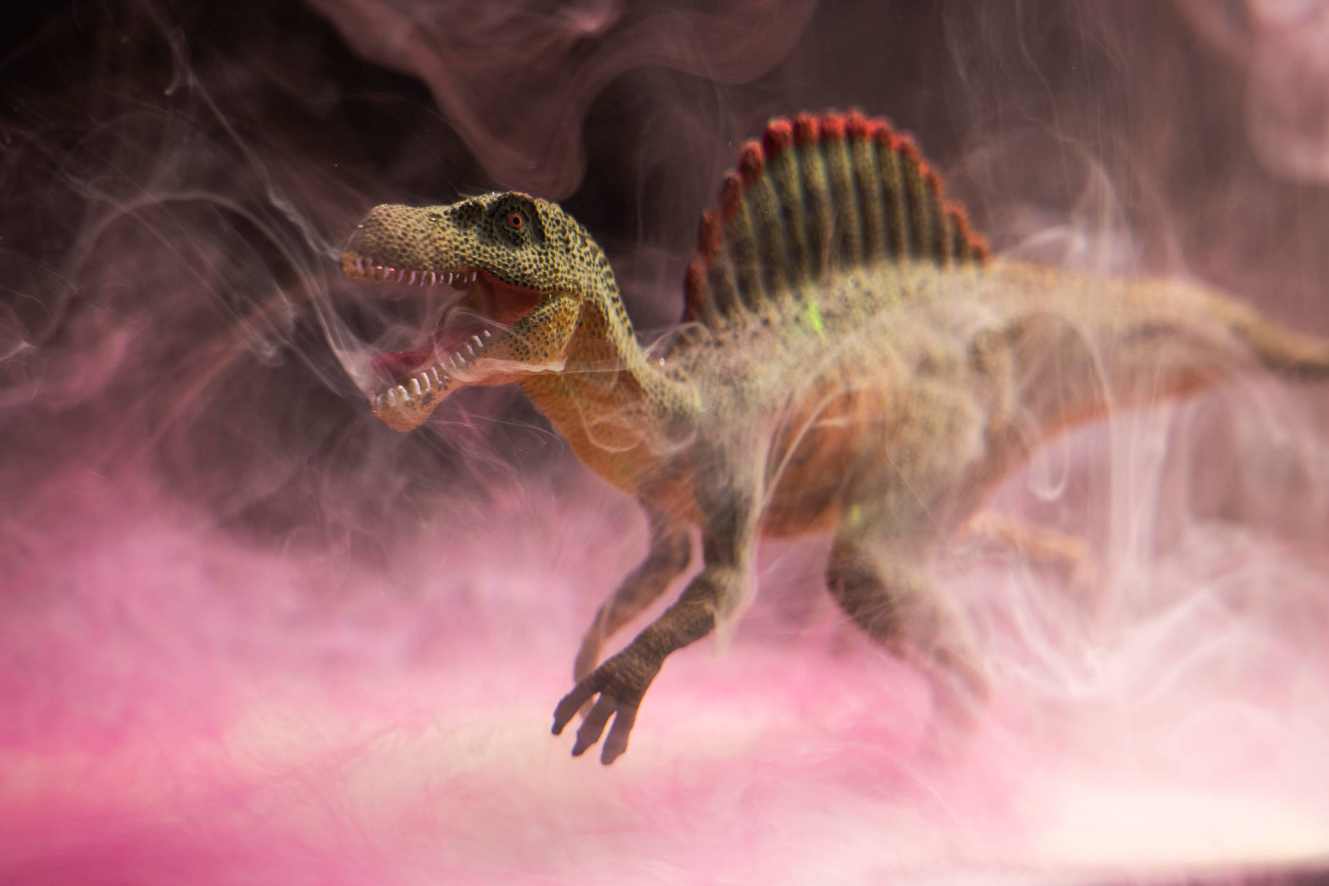 8192X5464 Dinosaur Wallpaper and Background