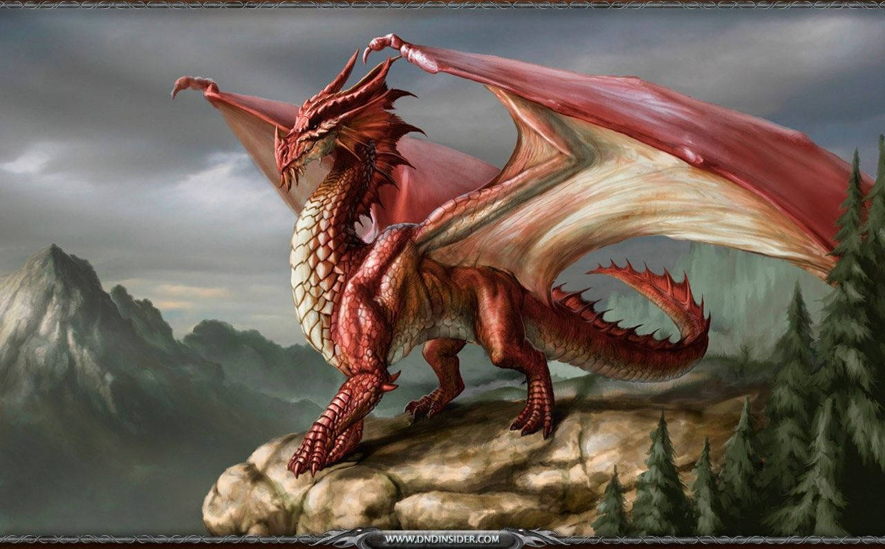 1280X794 Dragon Wallpaper and Background