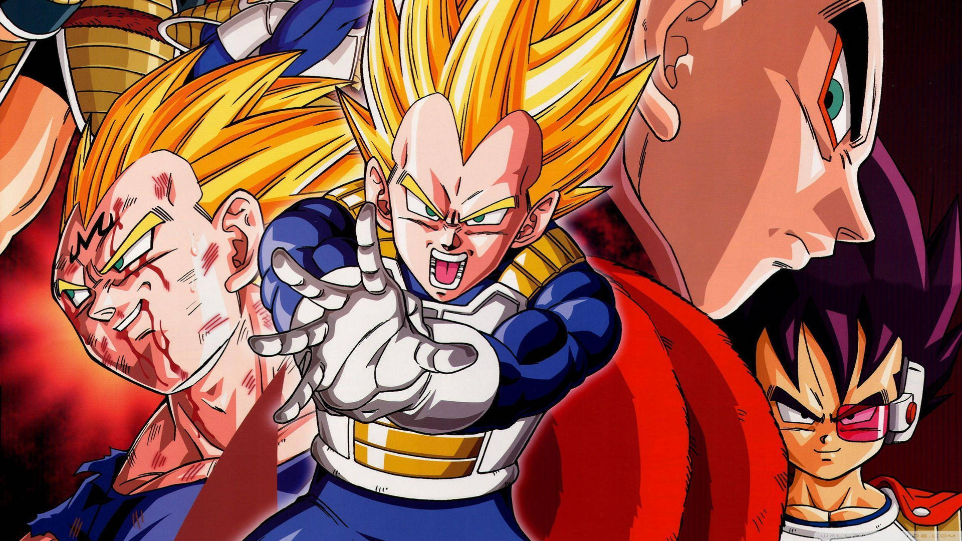 2560X1440 Dragon Ball Z Wallpaper and Background