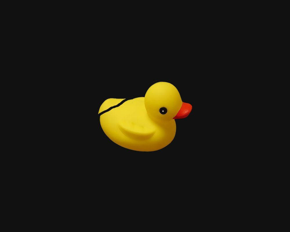 1000X800 Duck Wallpaper and Background
