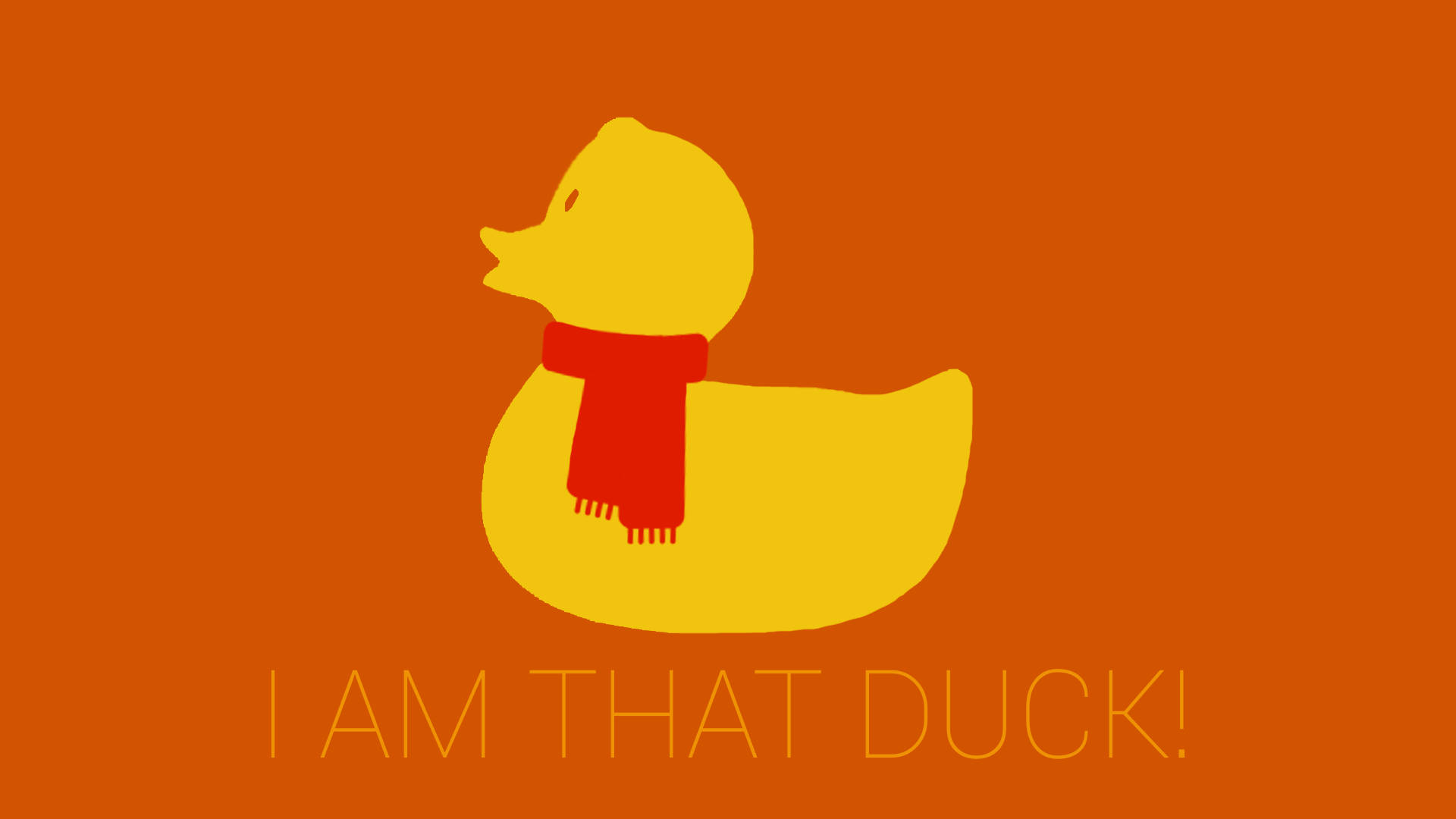 1920X1080 Duck Wallpaper and Background