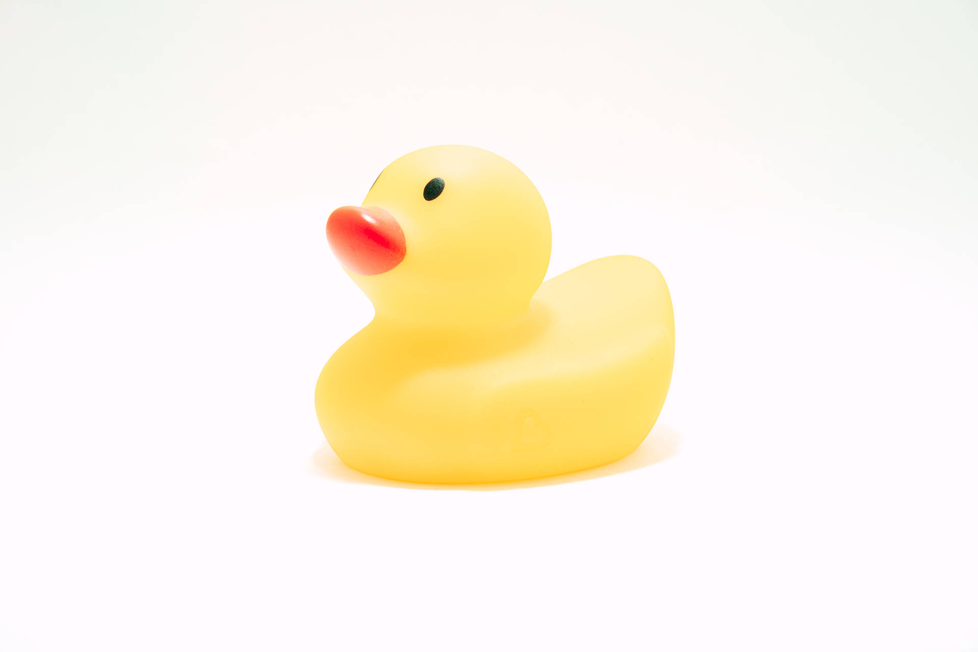 6000X4000 Duck Wallpaper and Background