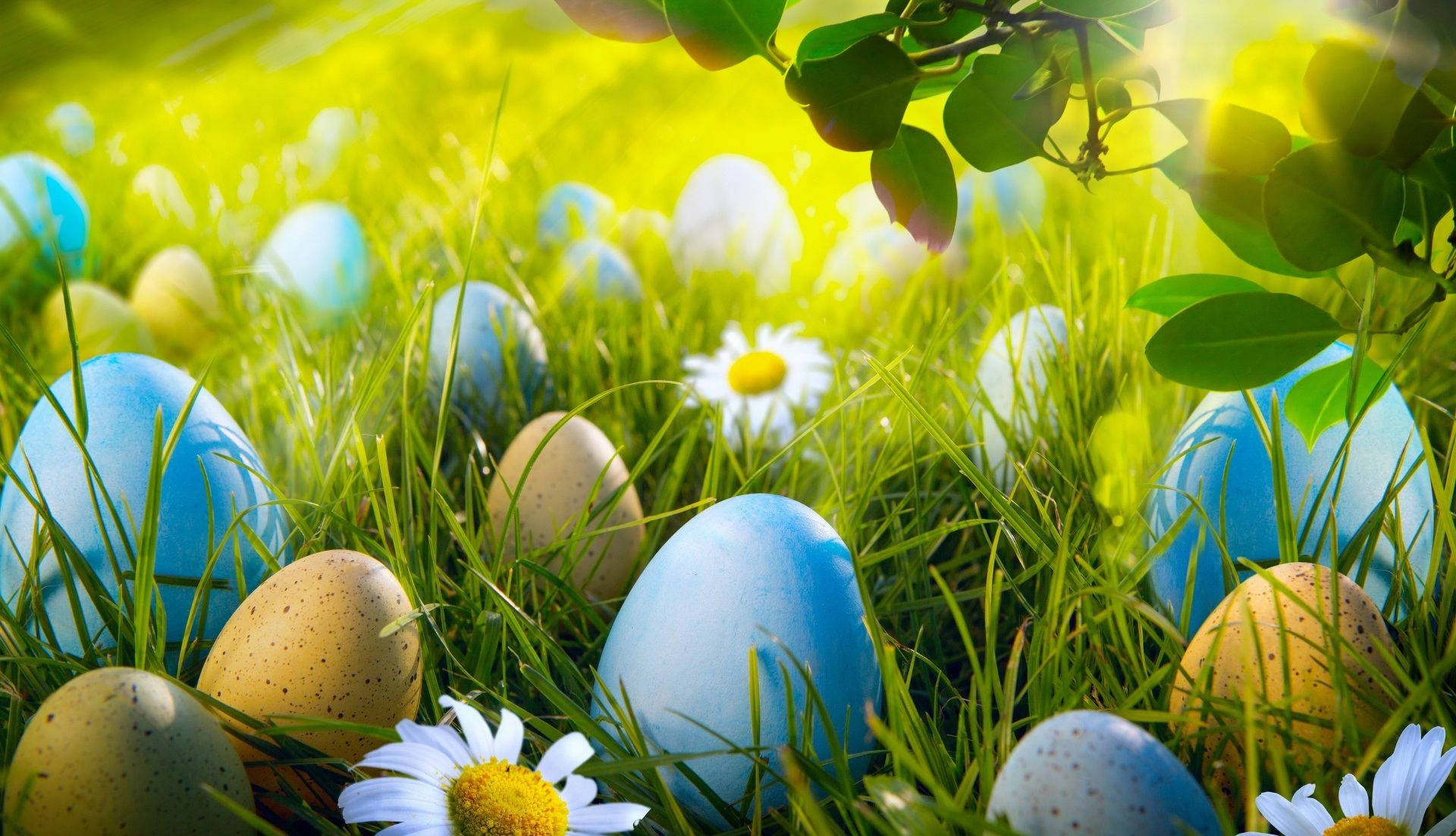 1920X1102 Easter Wallpaper and Background