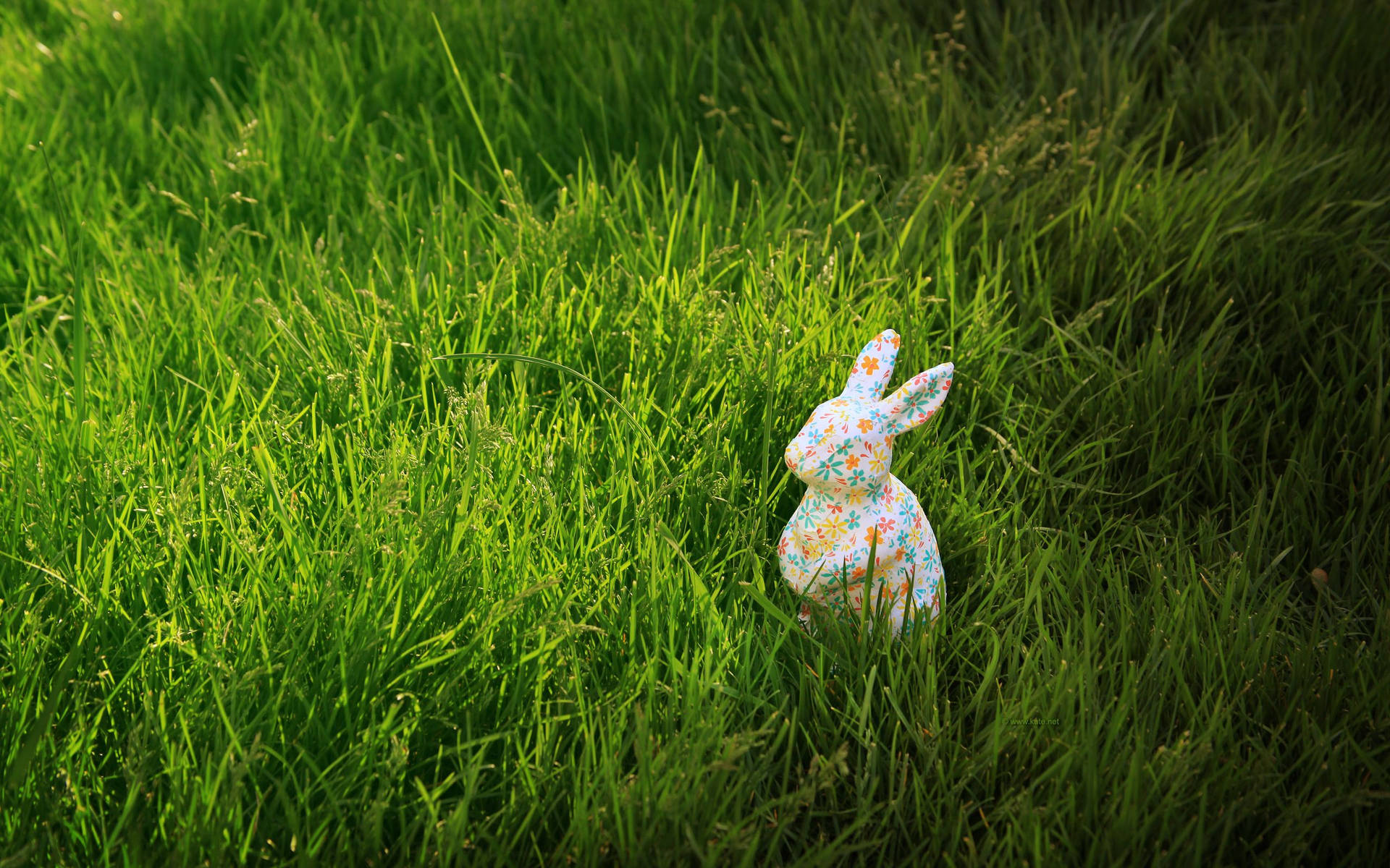 2560X1600 Easter Wallpaper and Background