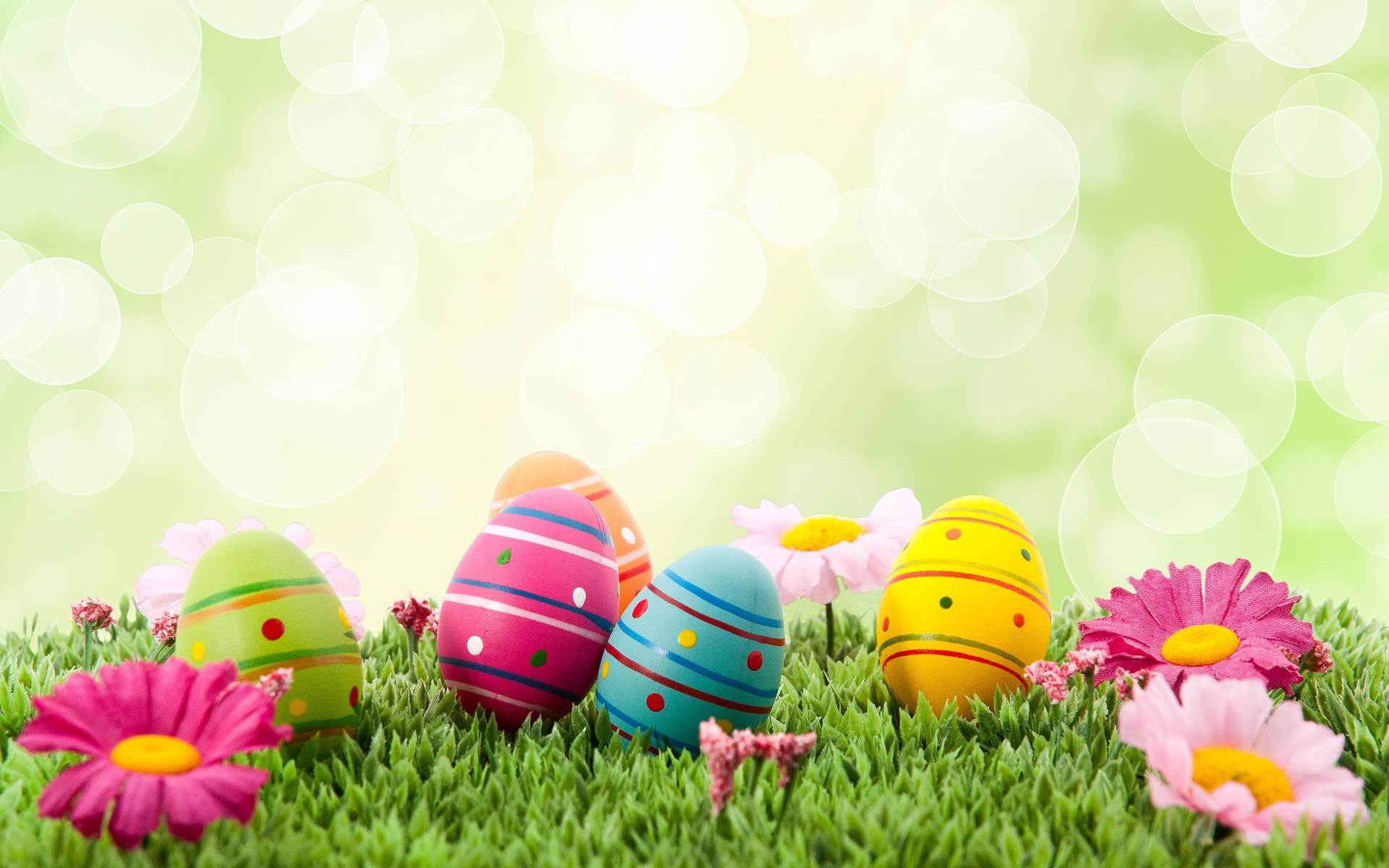 2880X1800 Easter Wallpaper and Background