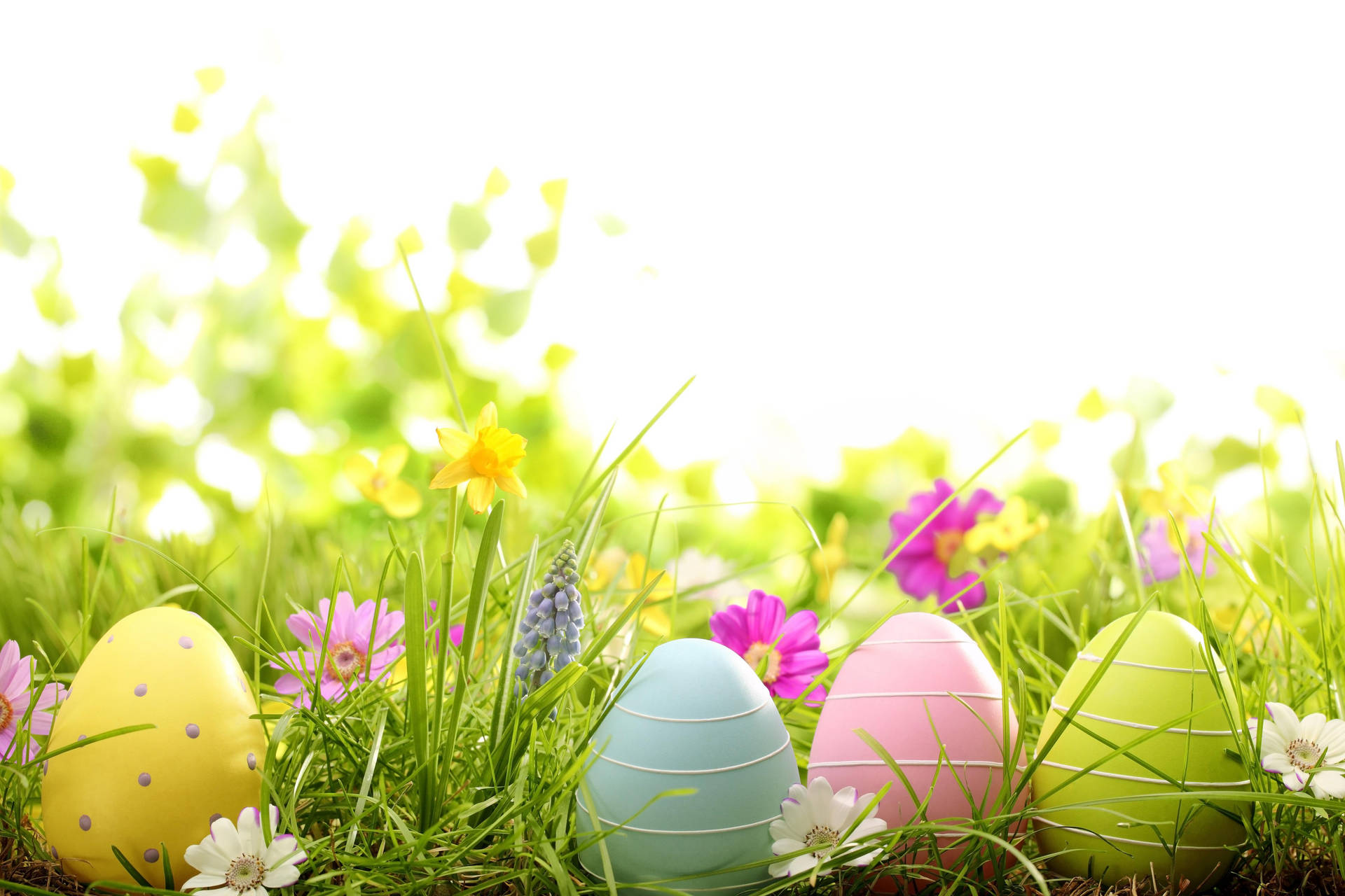 4520X3013 Easter Wallpaper and Background