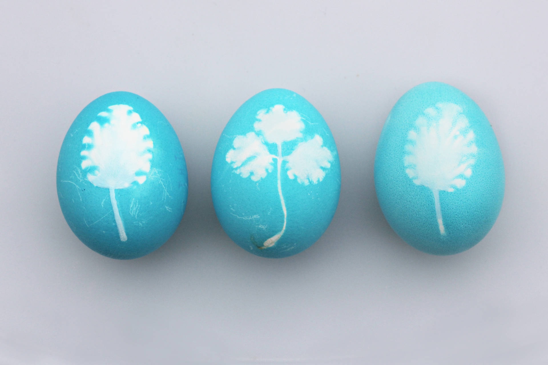 4793X3195 Easter Wallpaper and Background