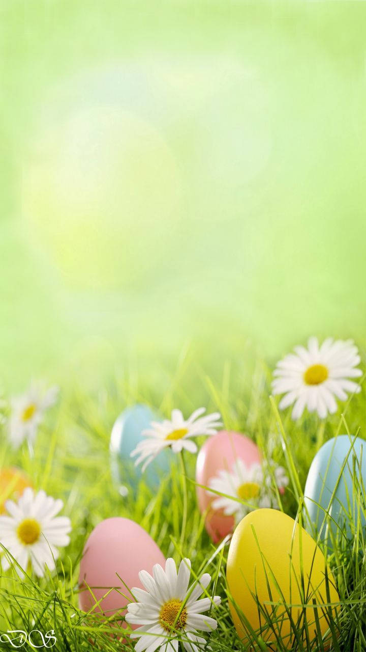 720X1280 Easter Wallpaper and Background