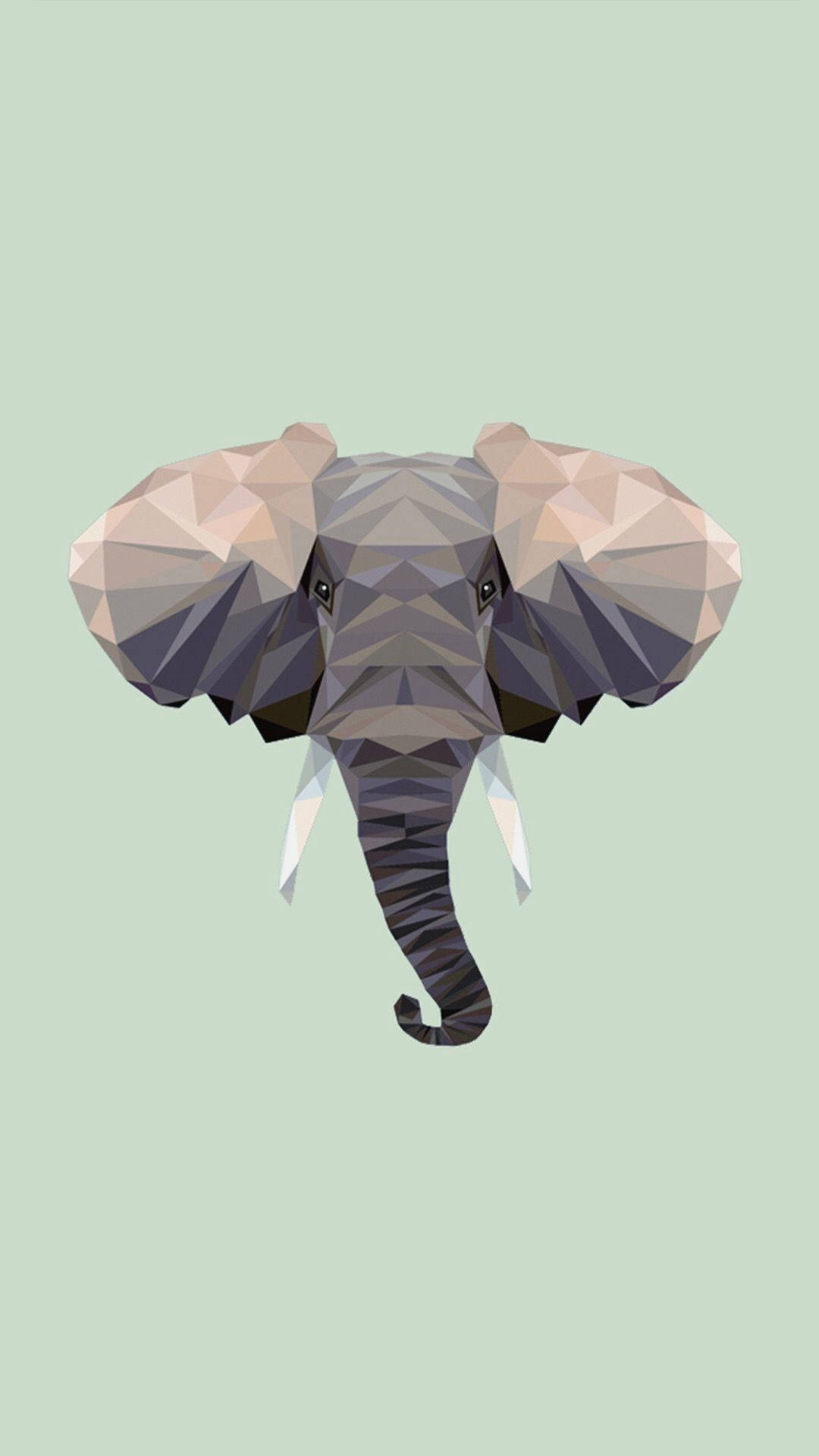 1080X1920 Elephant Wallpaper and Background