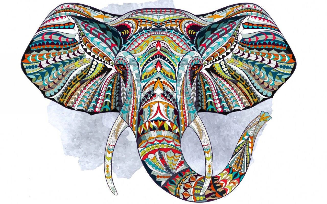 1280X800 Elephant Wallpaper and Background