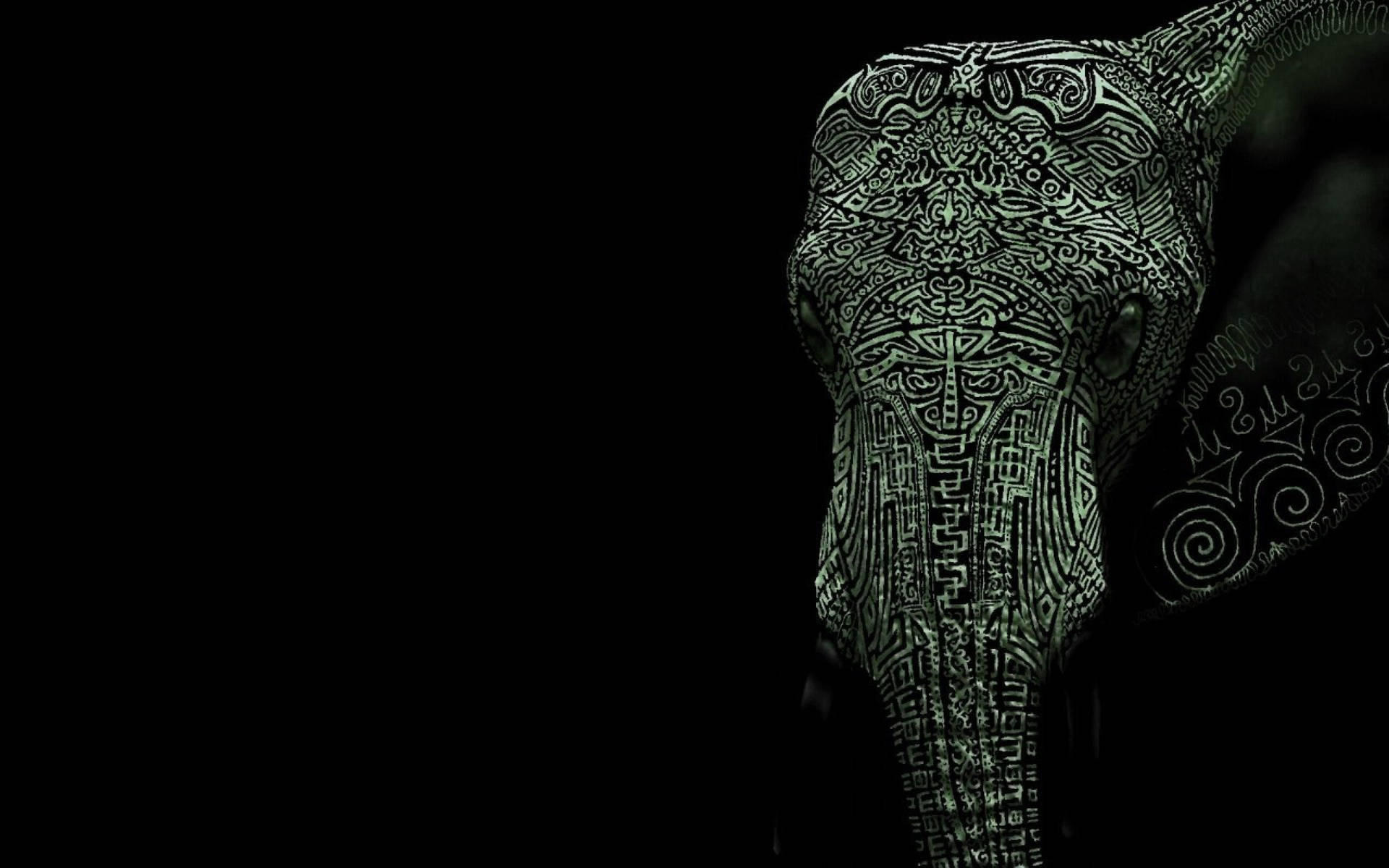 2560X1600 Elephant Wallpaper and Background