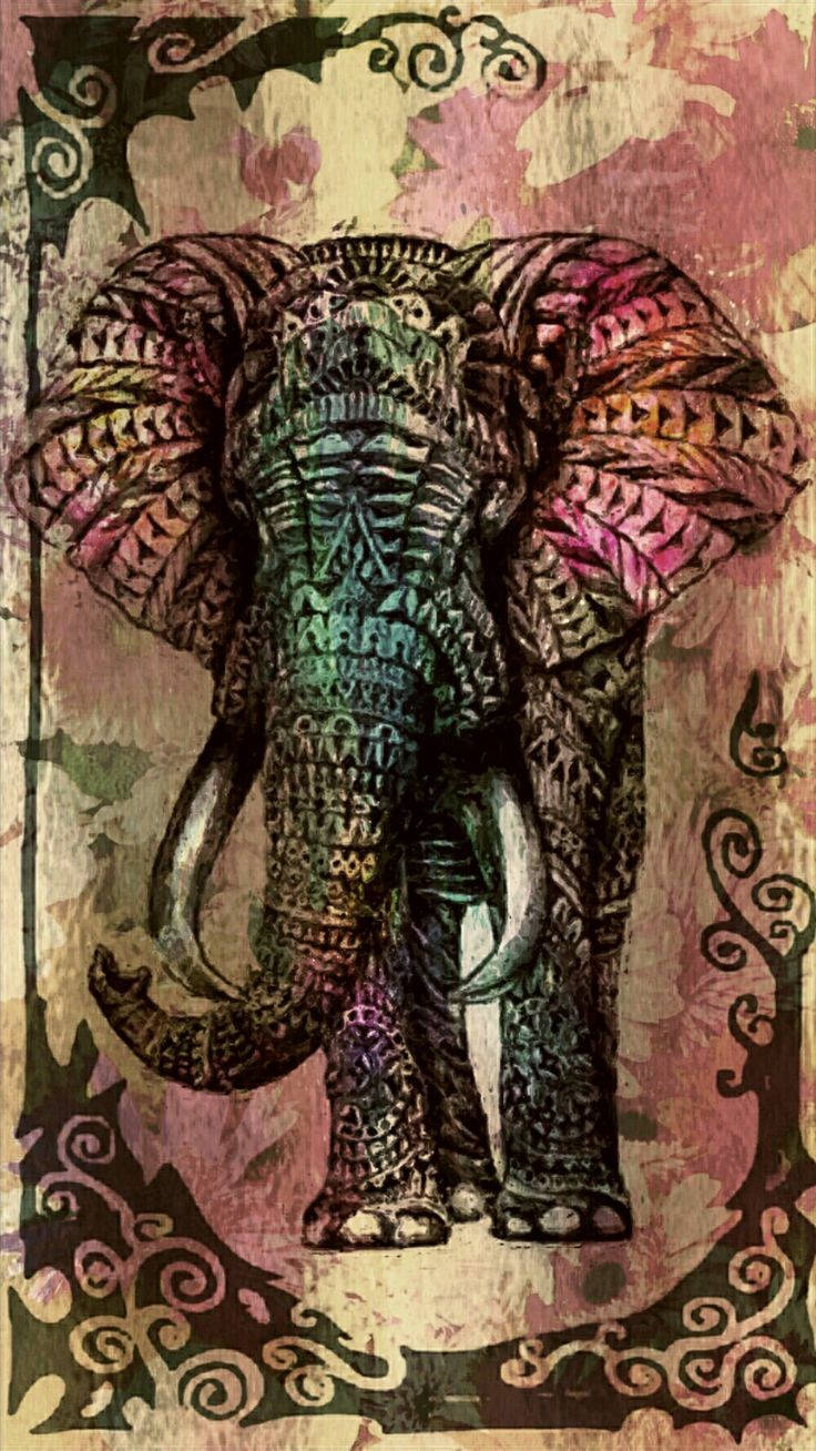736X1308 Elephant Wallpaper and Background