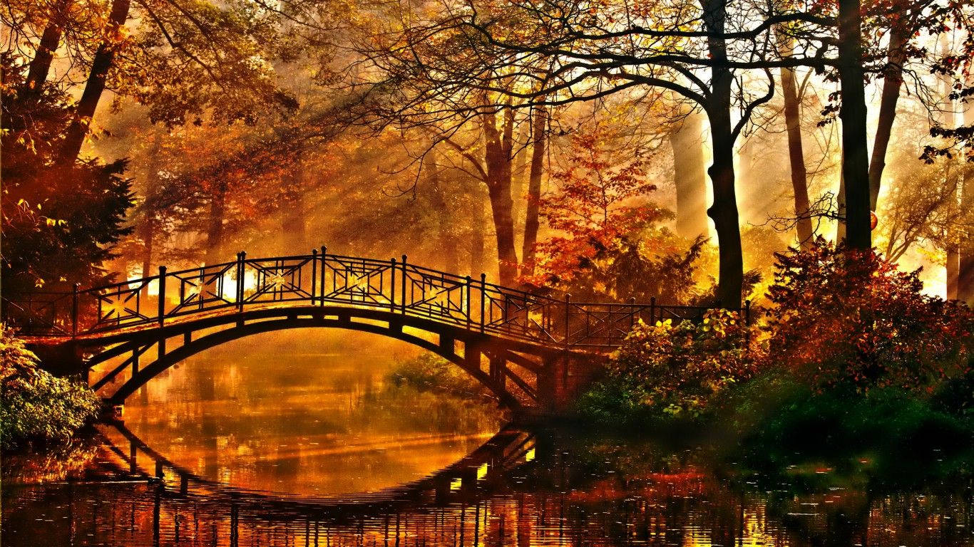 1366X768 Fall Wallpaper and Background