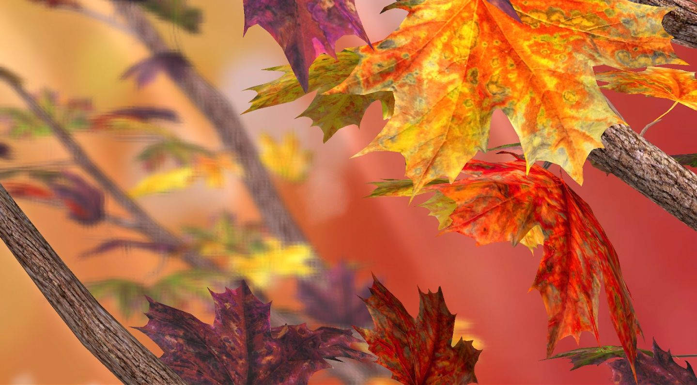 1439X795 Fall Wallpaper and Background
