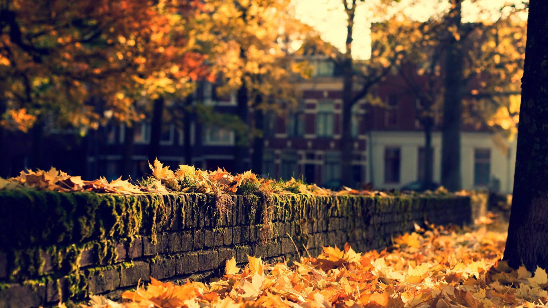 3840X2160 Fall Wallpaper and Background