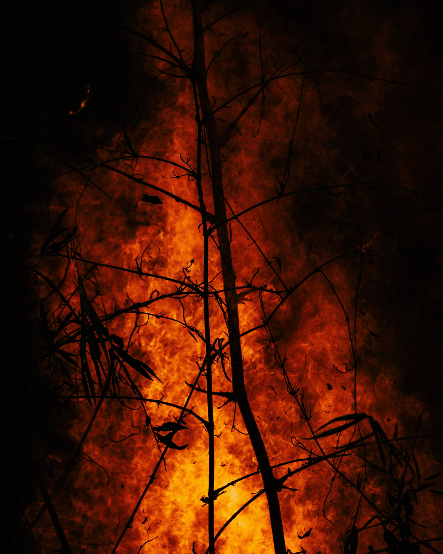2264X2830 Fire Wallpaper and Background