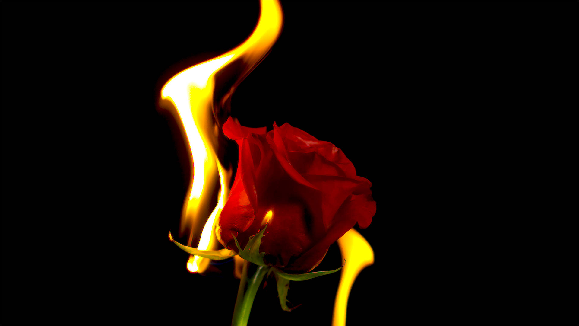8000X4500 Fire Wallpaper and Background