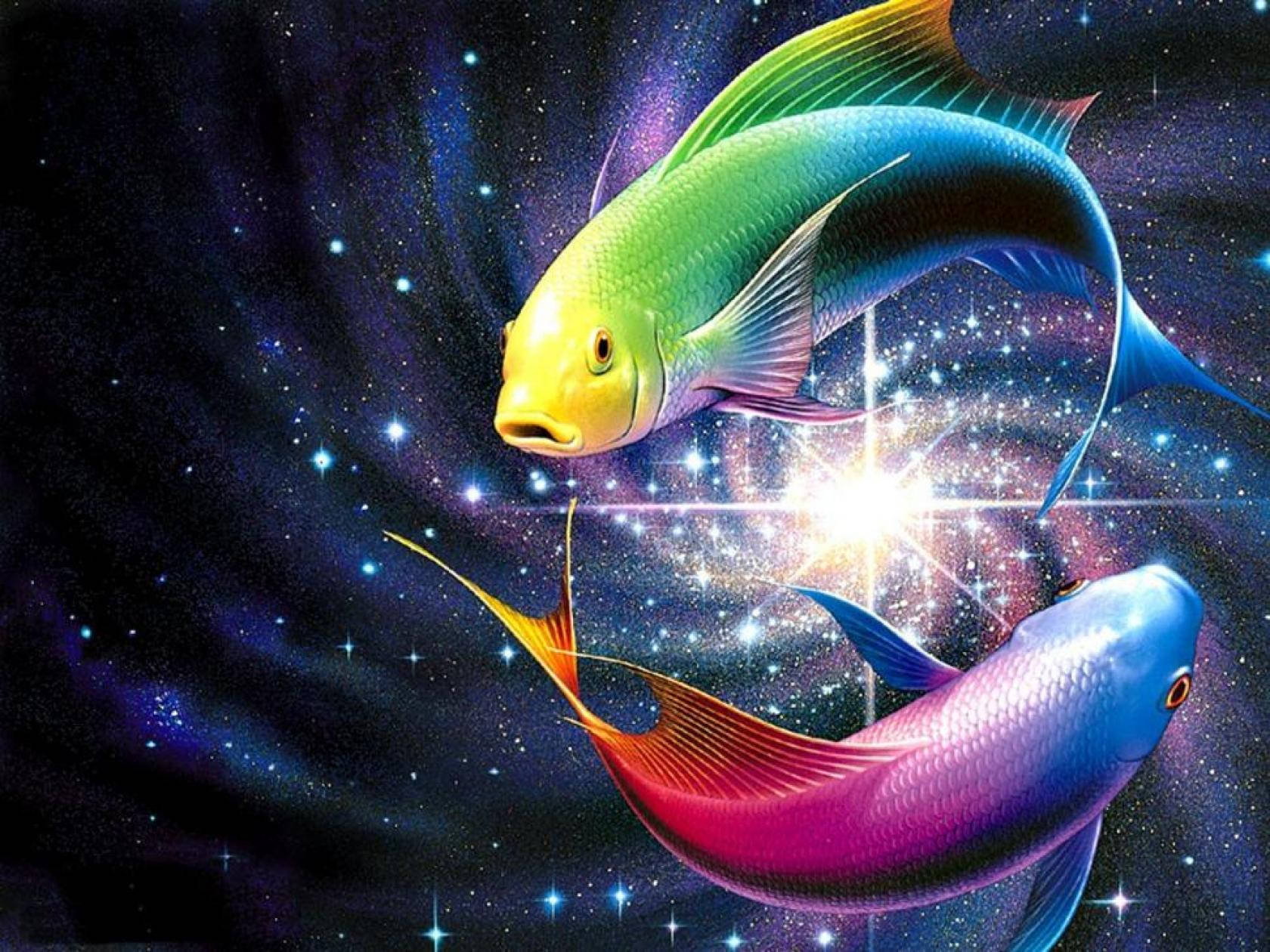 1680X1260 Fish Wallpaper and Background