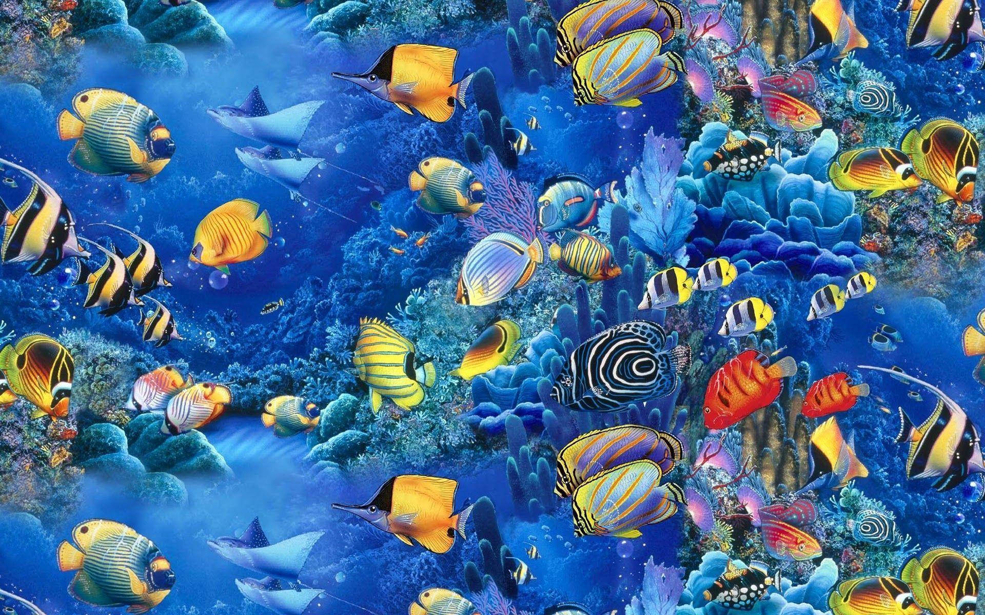 1920X1200 Fish Wallpaper and Background
