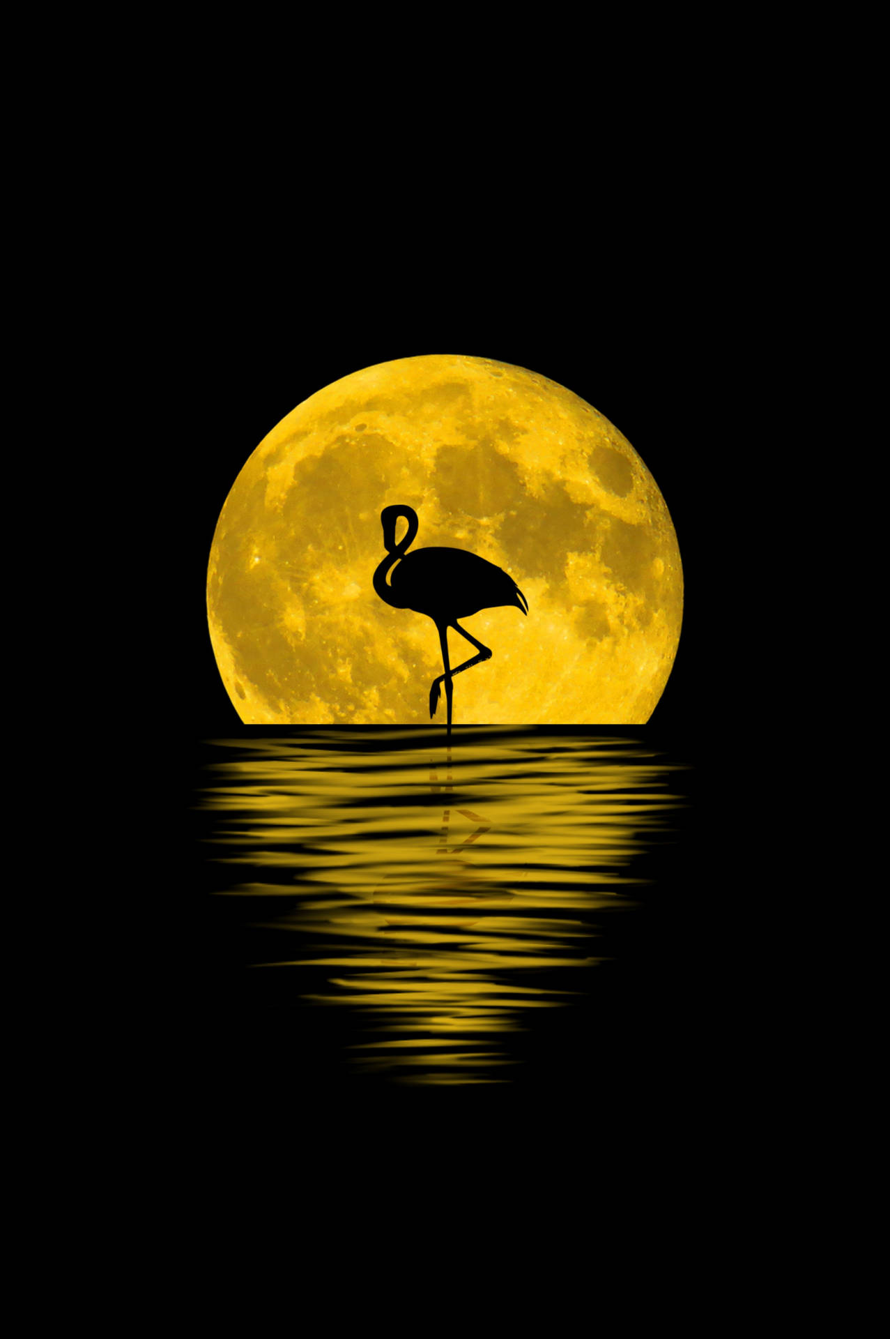 3004X4516 Flamingo Wallpaper and Background